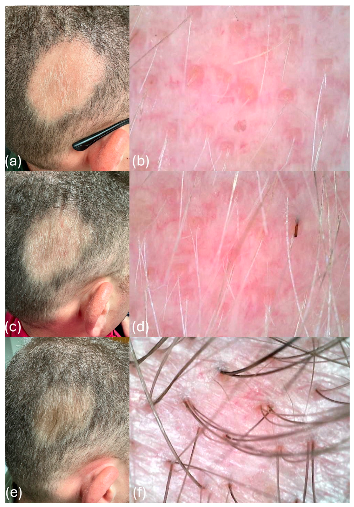 Cosmetics 12 00097 g002