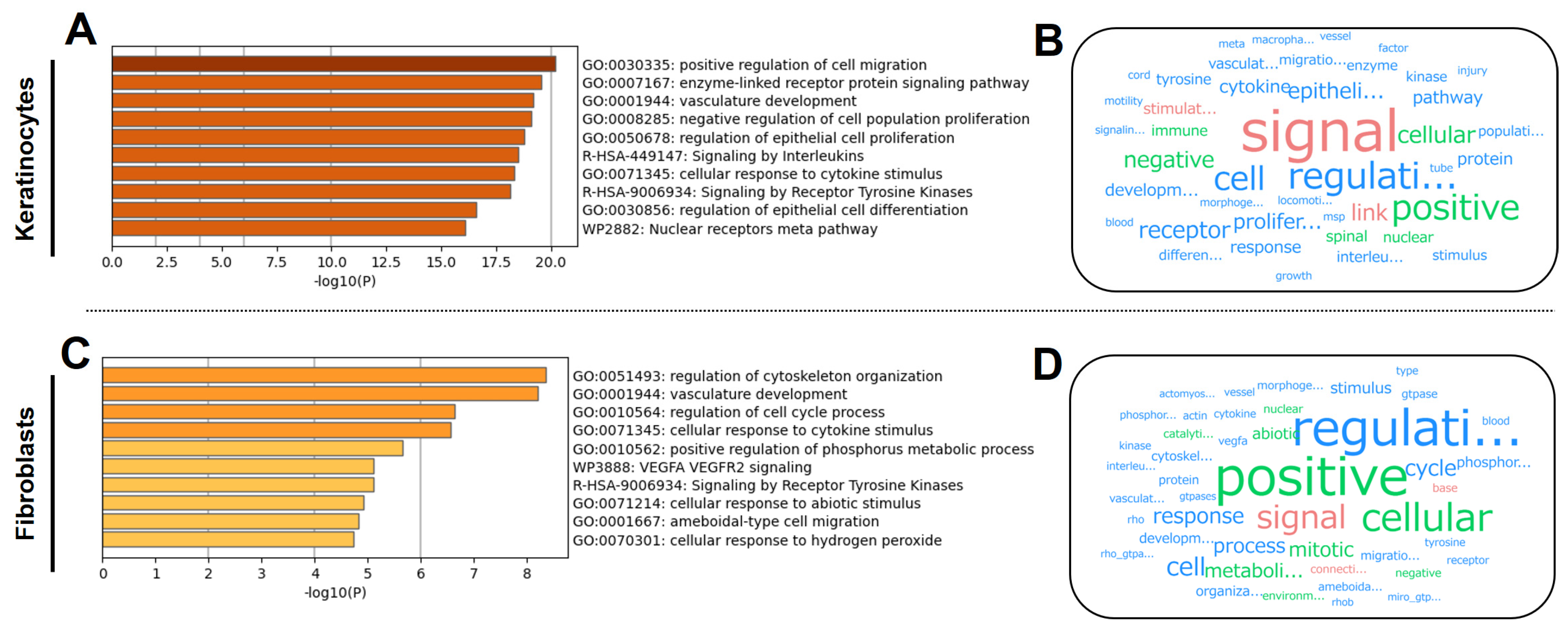 Cosmetics 12 00098 g003