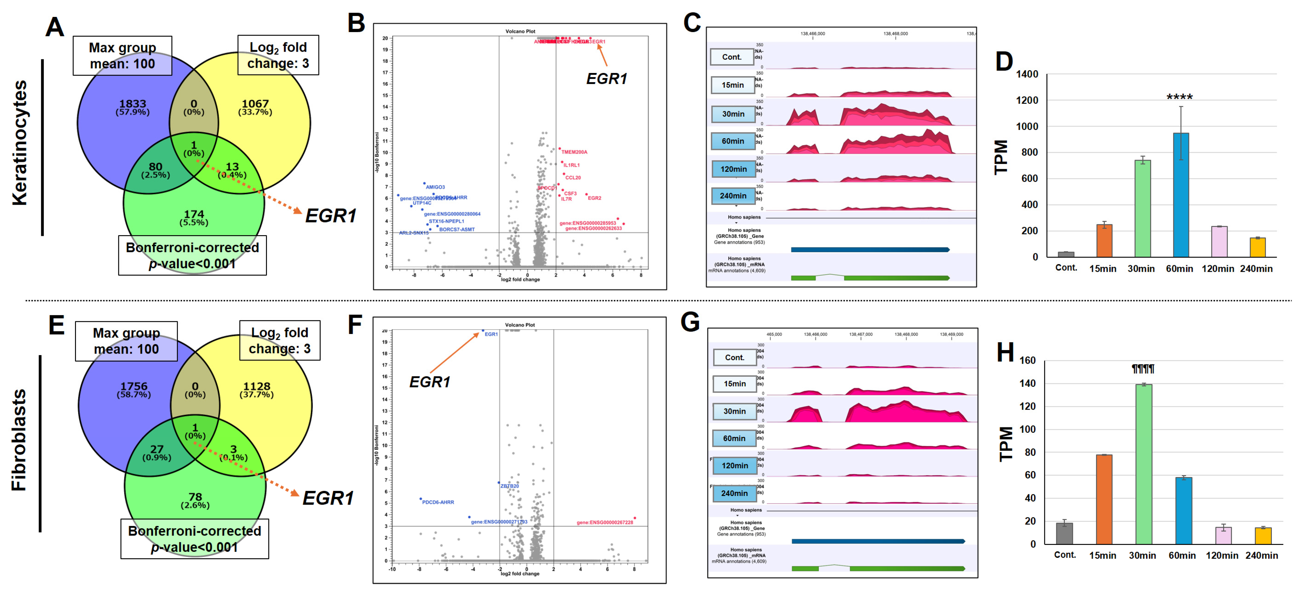 Cosmetics 12 00098 g004