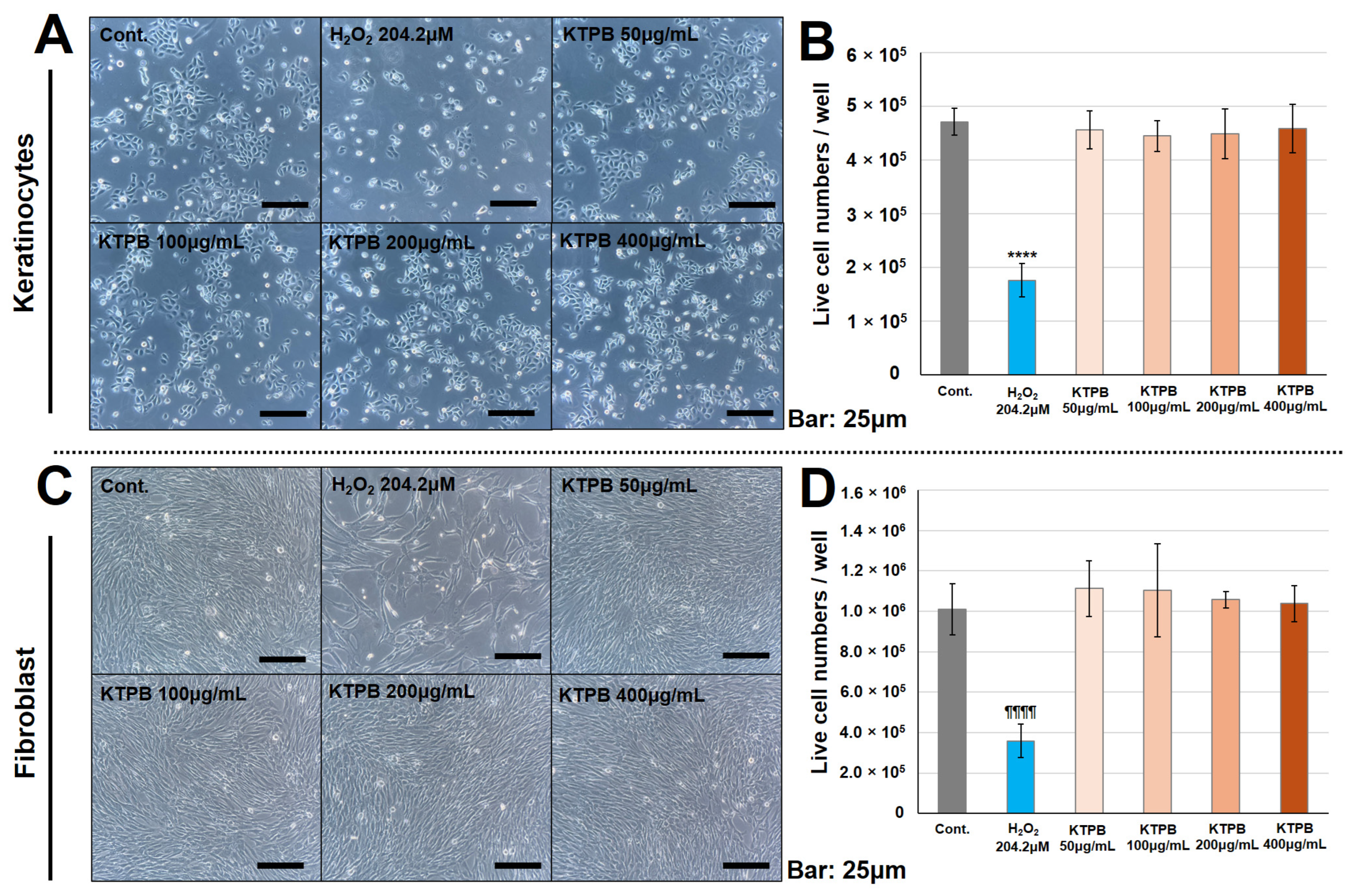 Cosmetics 12 00098 g006