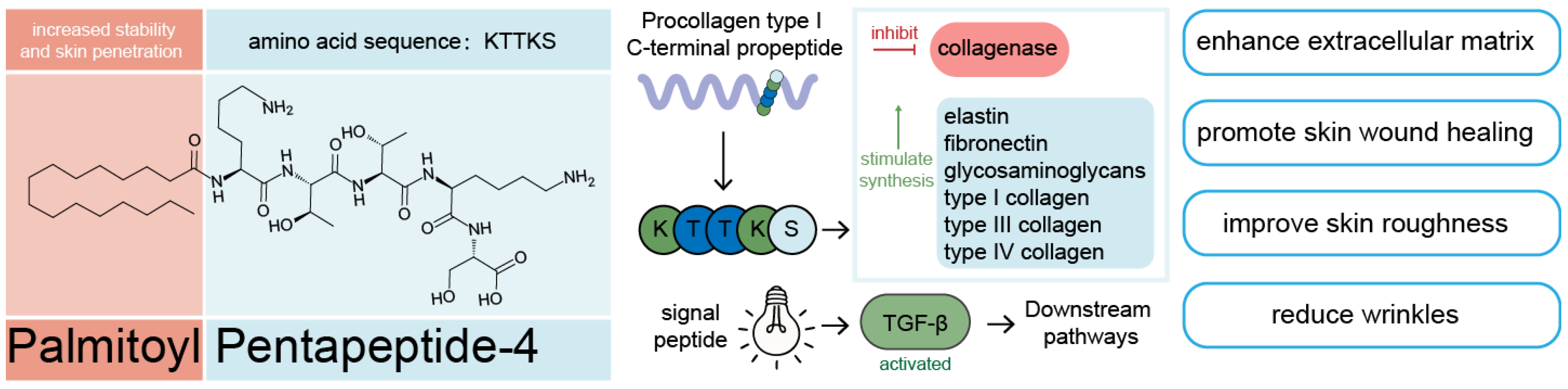 Cosmetics 12 00107 g003