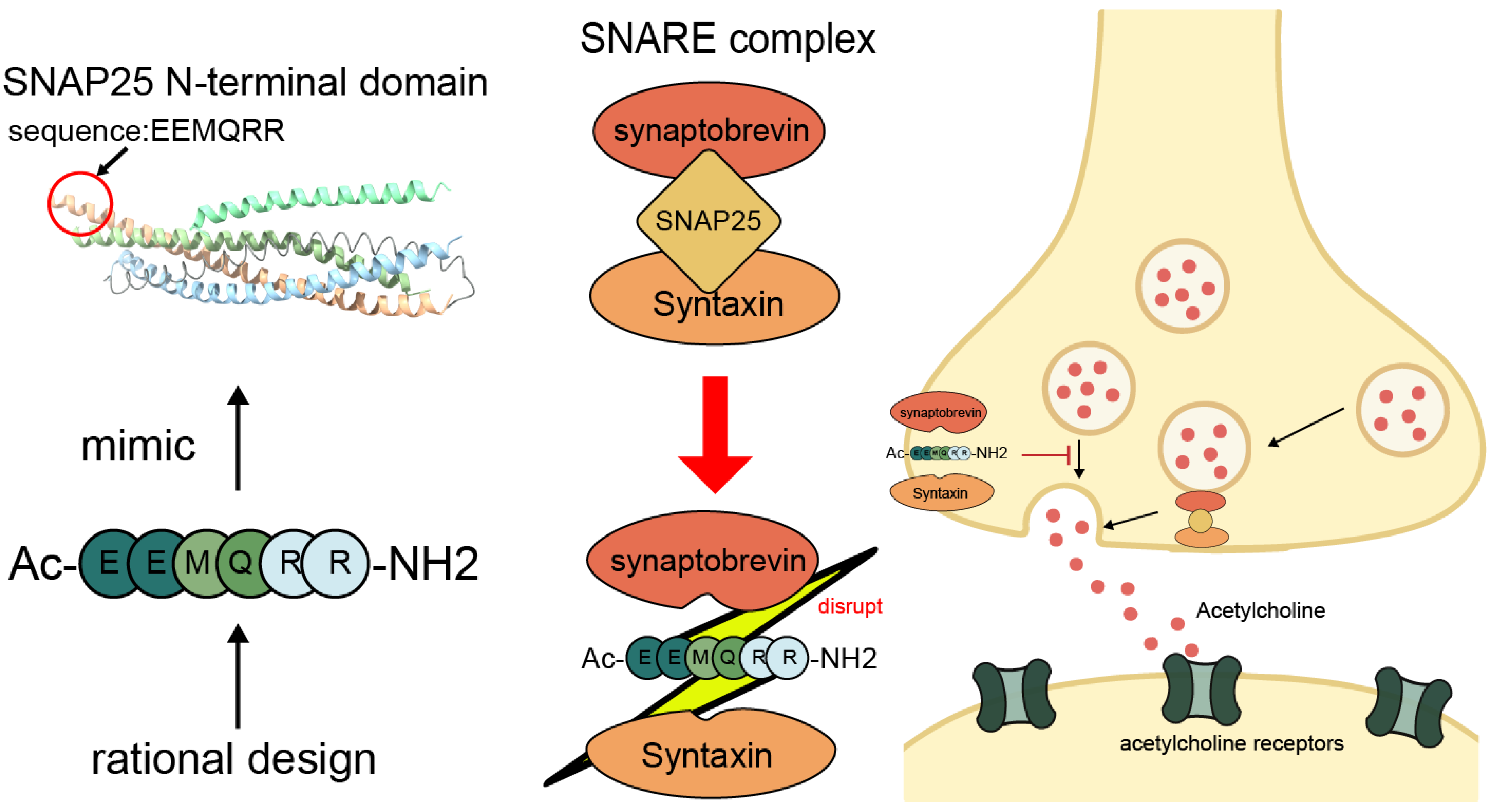 Cosmetics 12 00107 g004