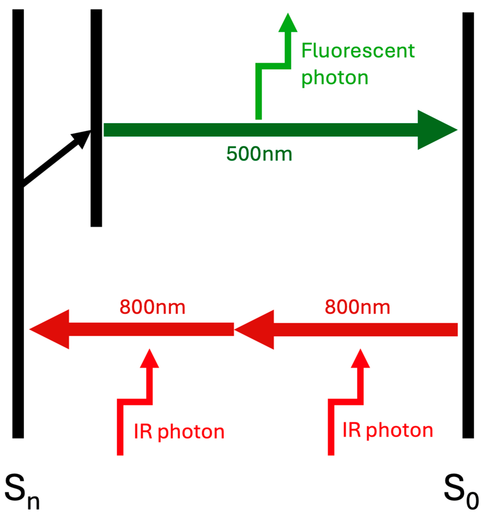 Cosmetics 12 00111 g001