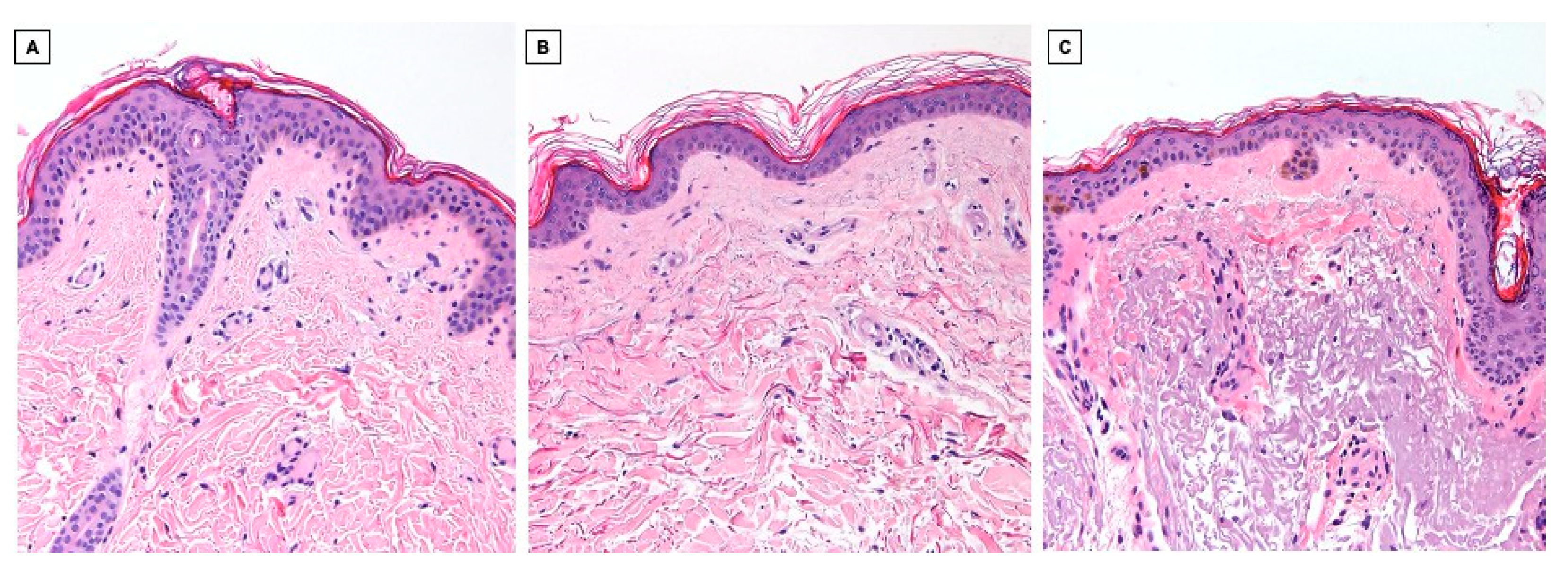 Cosmetics 12 00111 g003
