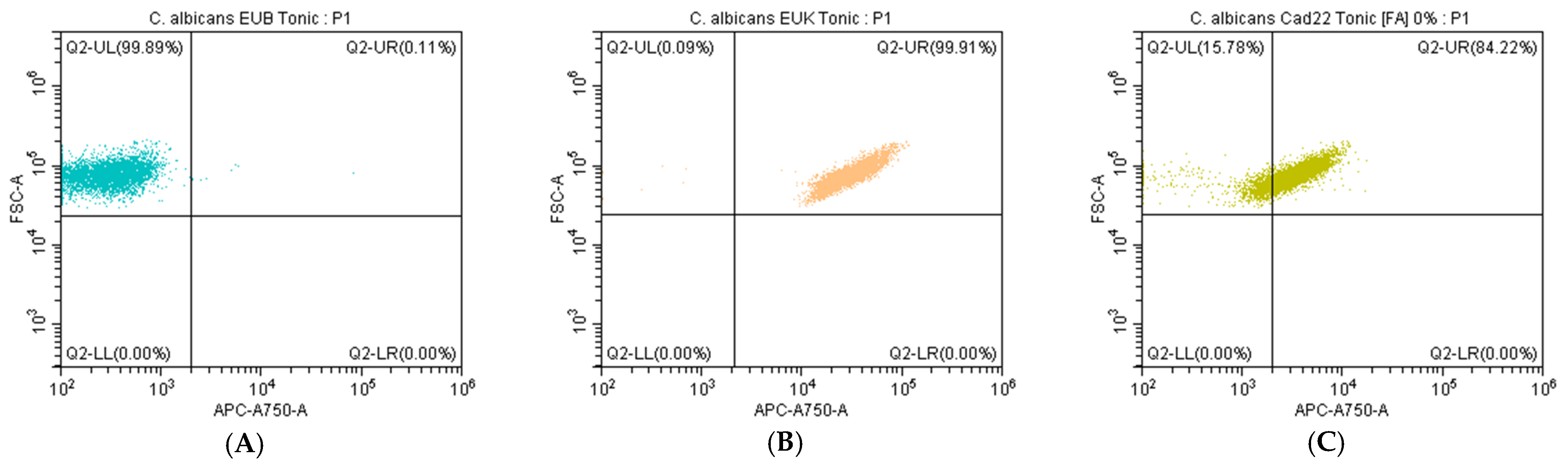 Cosmetics 12 00115 g004