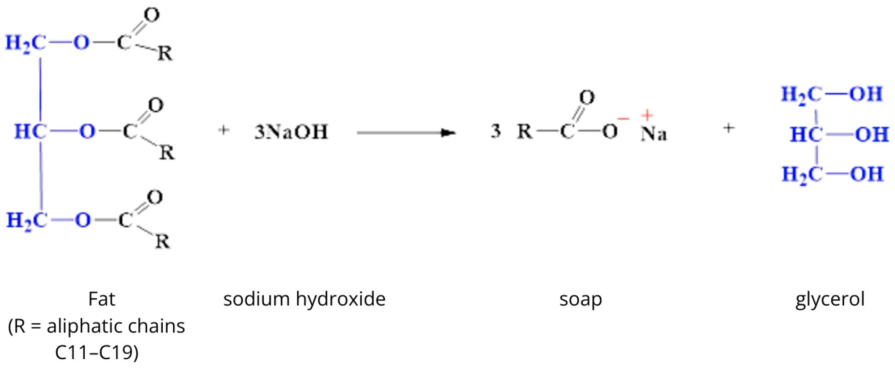 Cosmetics 12 00120 g001