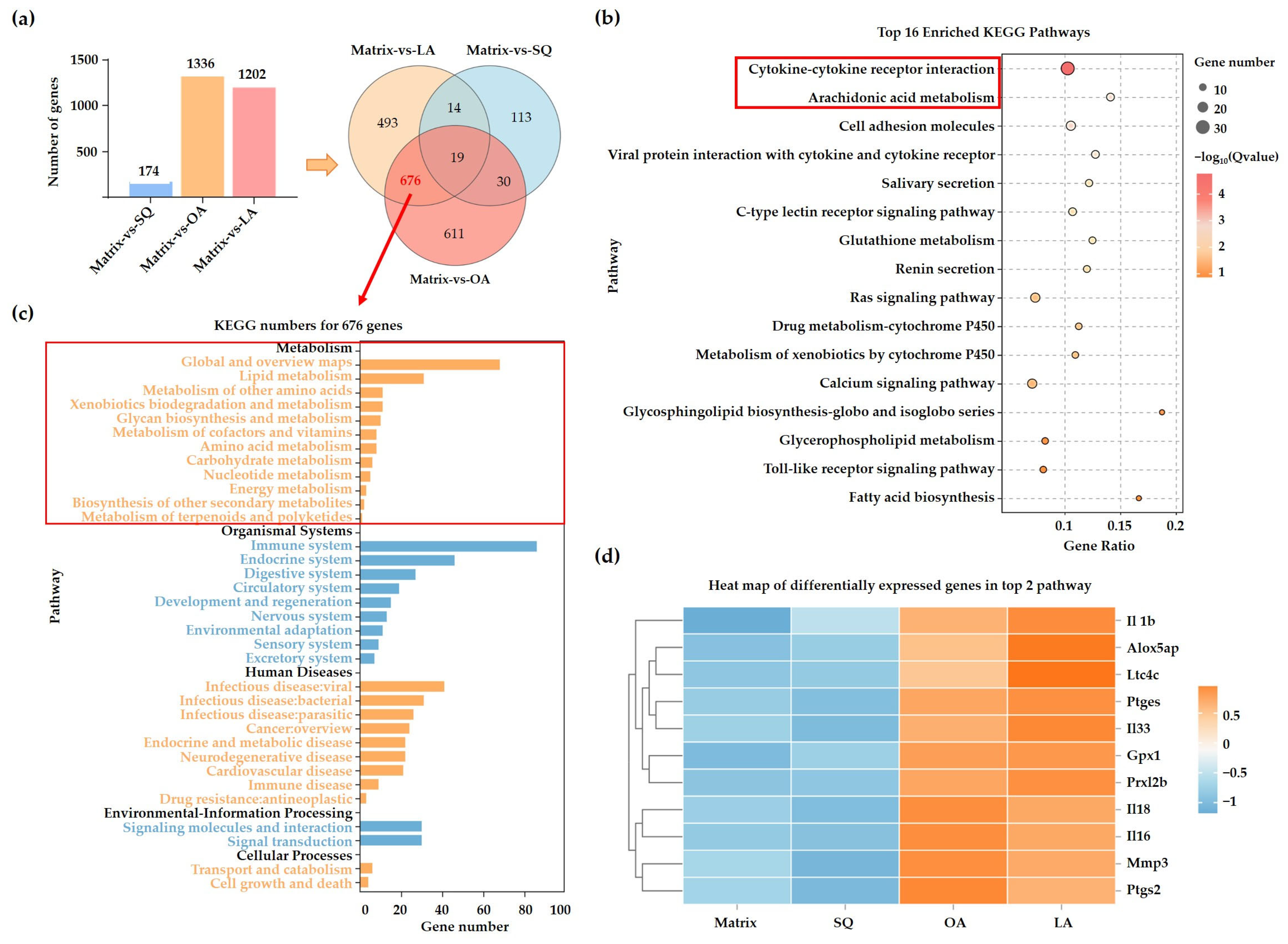 Cosmetics 12 00130 g003
