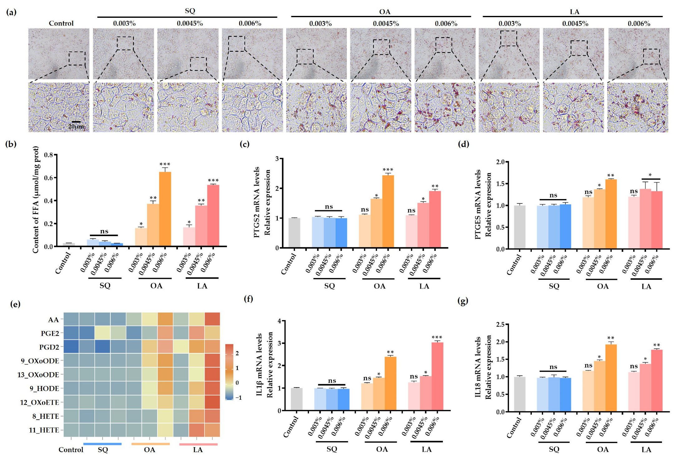 Cosmetics 12 00130 g004