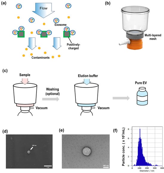 Cosmetics 12 00135 g0a1