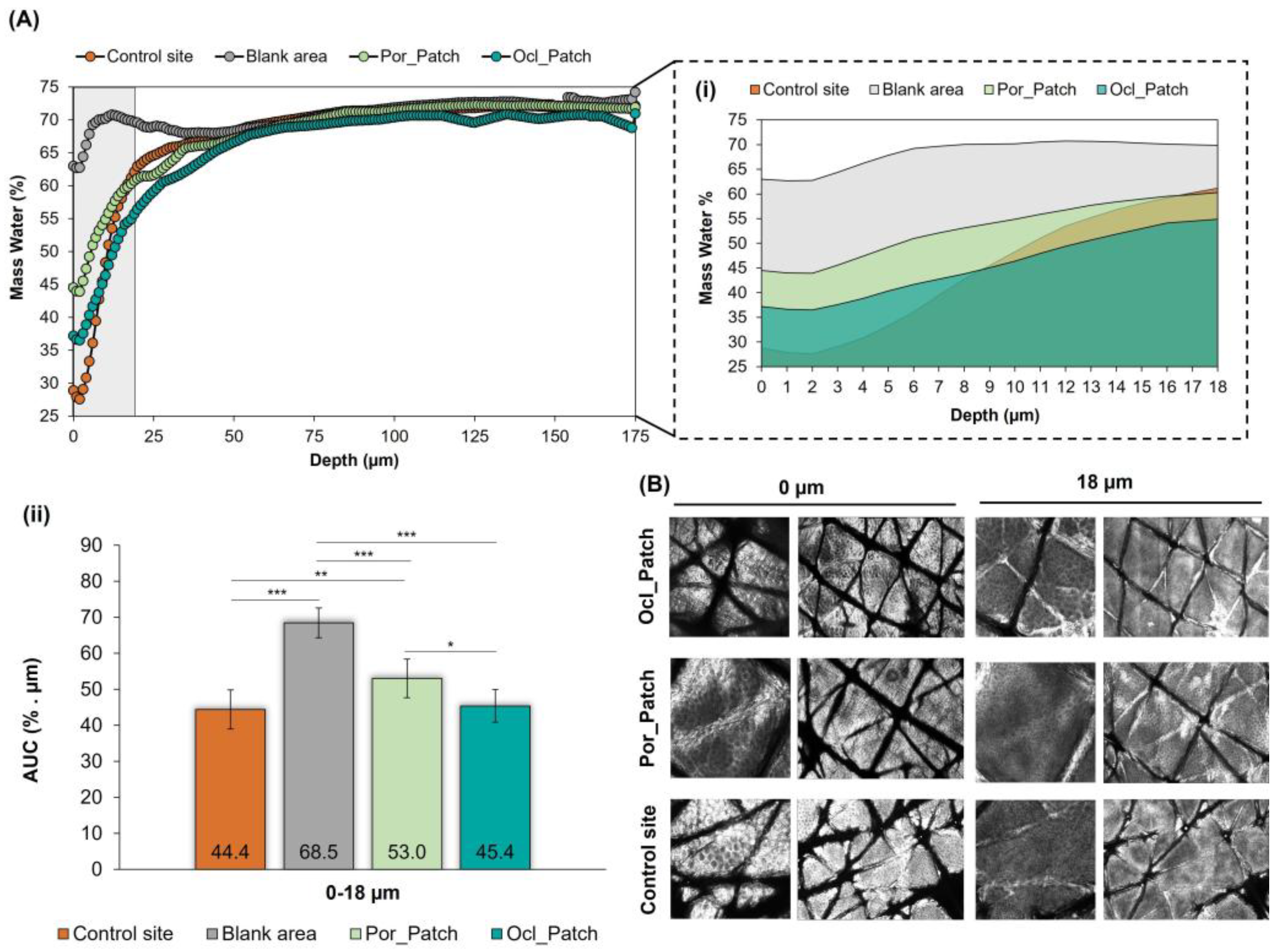 Cosmetics 12 00136 g002