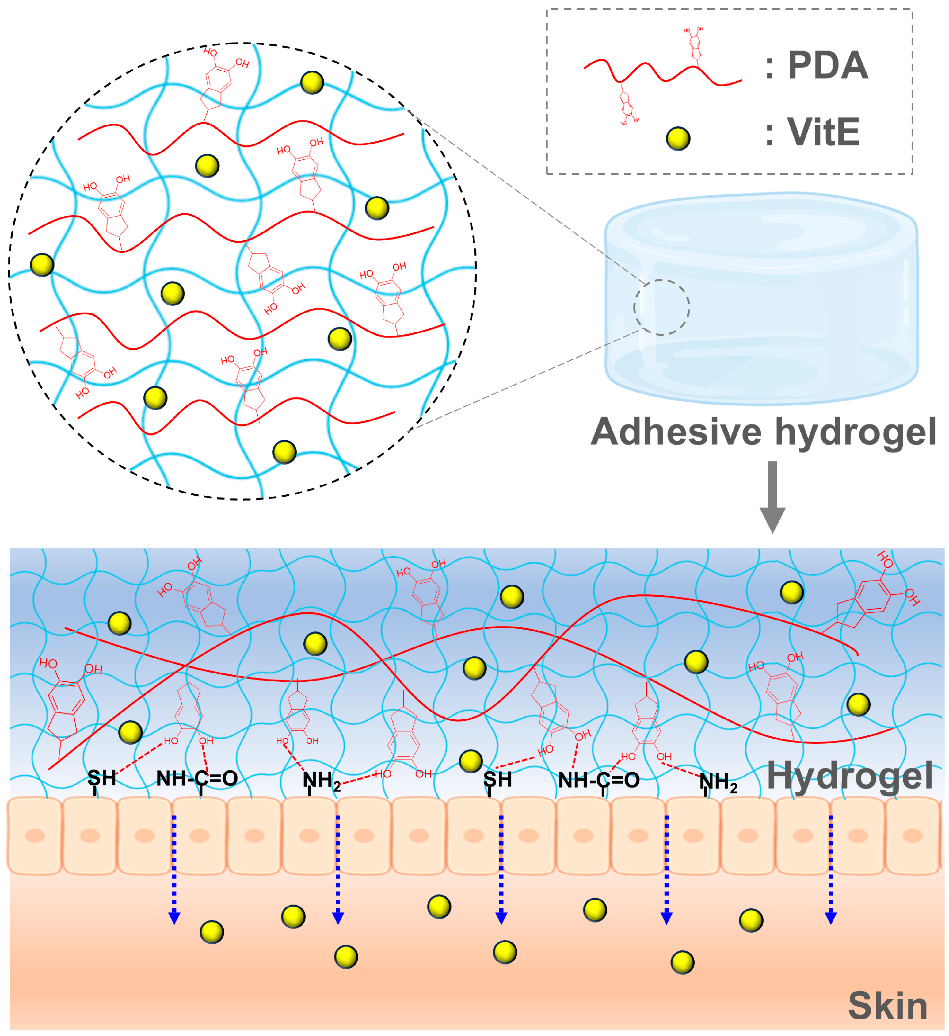 Cosmetics 12 00138 g001