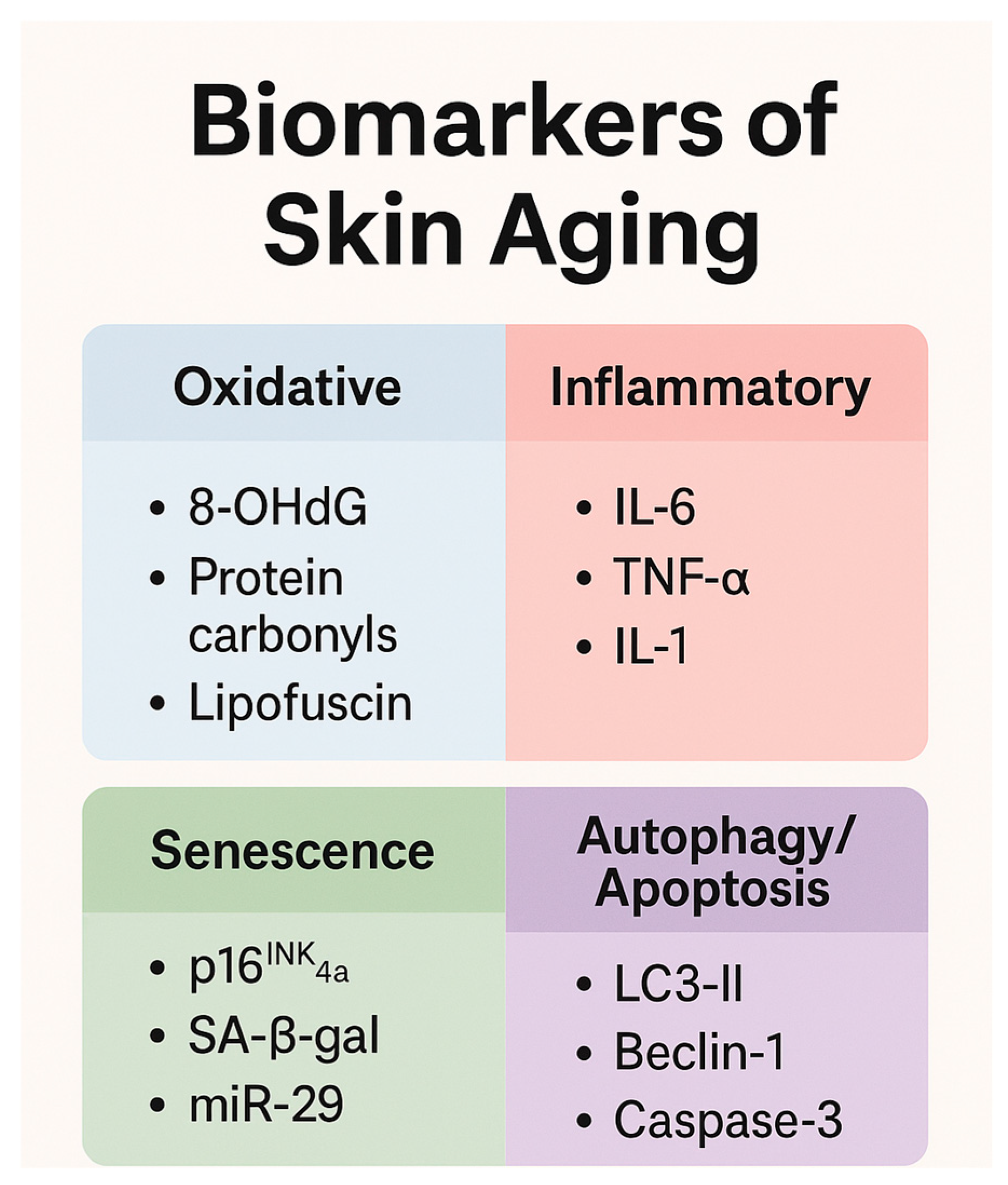 Cosmetics 12 00144 g003