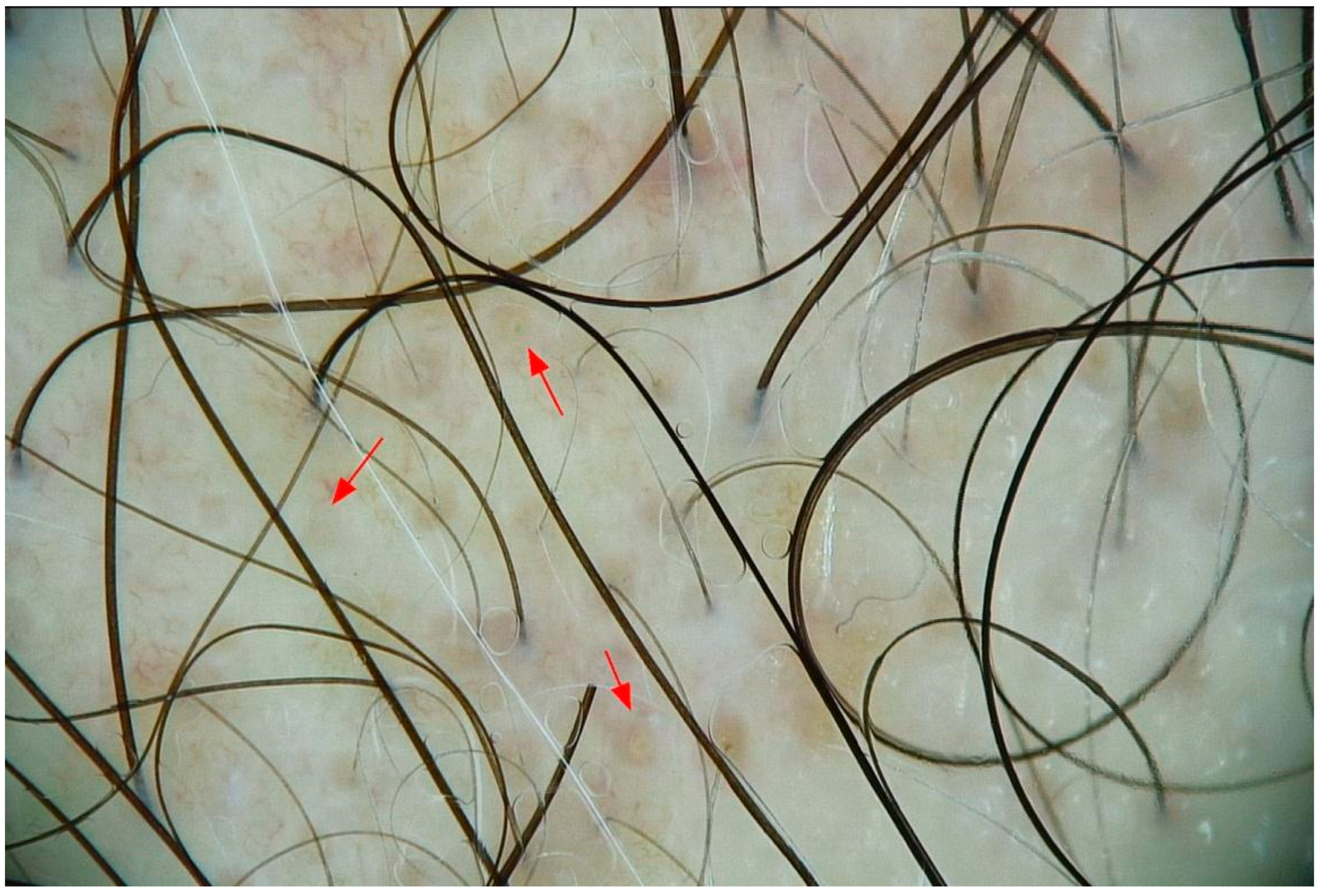 Cosmetics 12 00152 g001