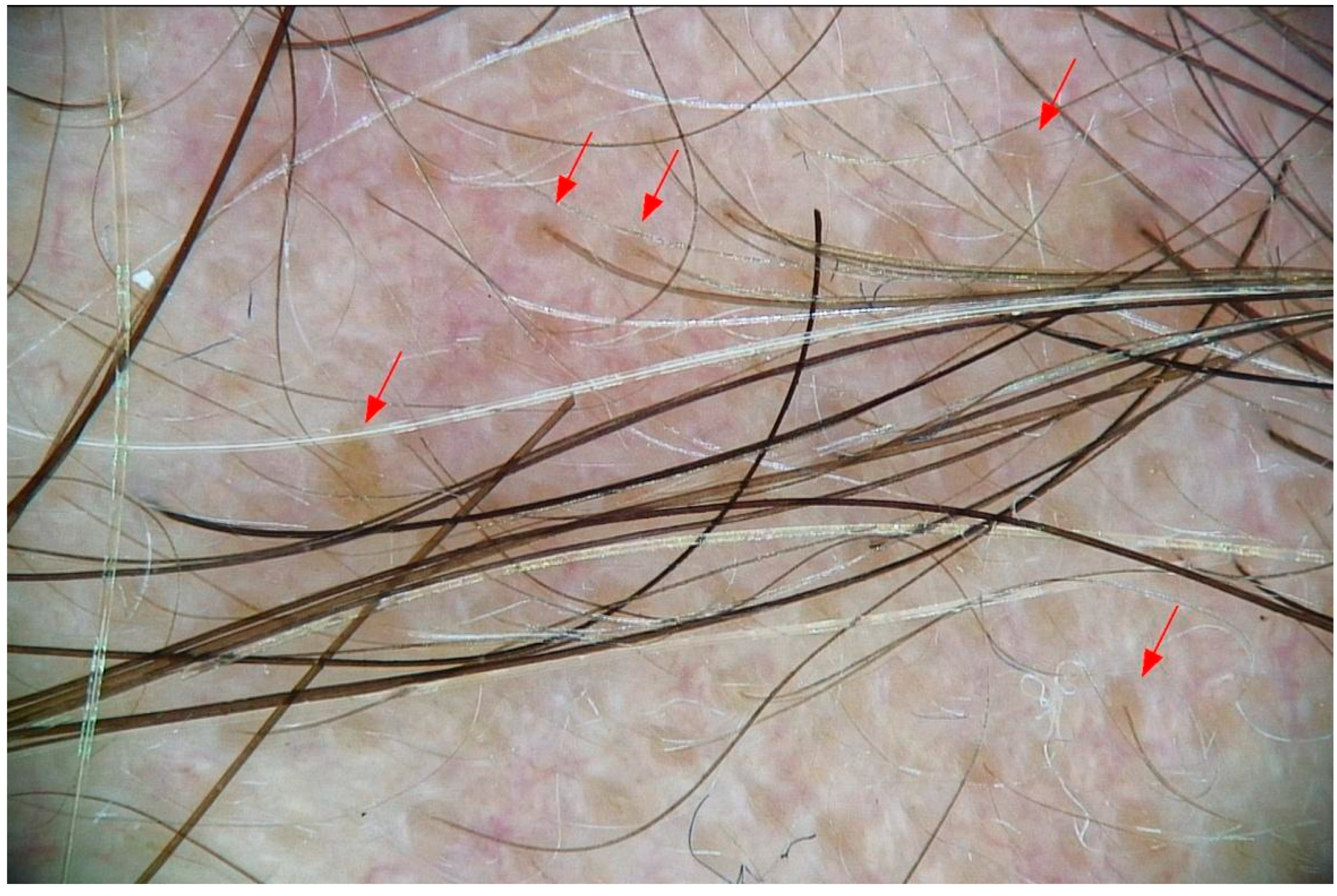 Cosmetics 12 00152 g002