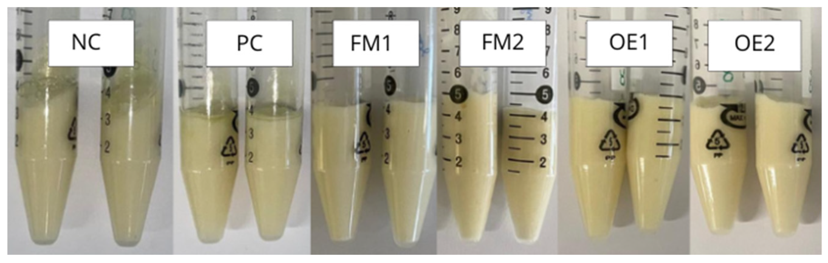 Cosmetics 12 00160 g002