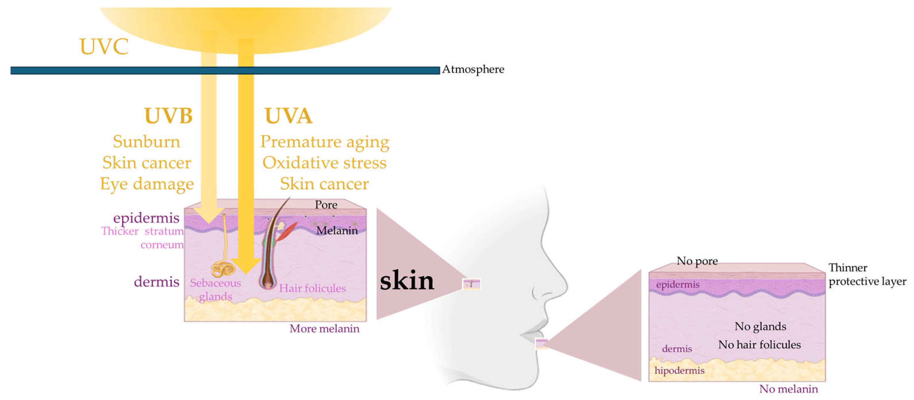 Cosmetics 12 00161 g001 Cosmetics 12 00161 g001