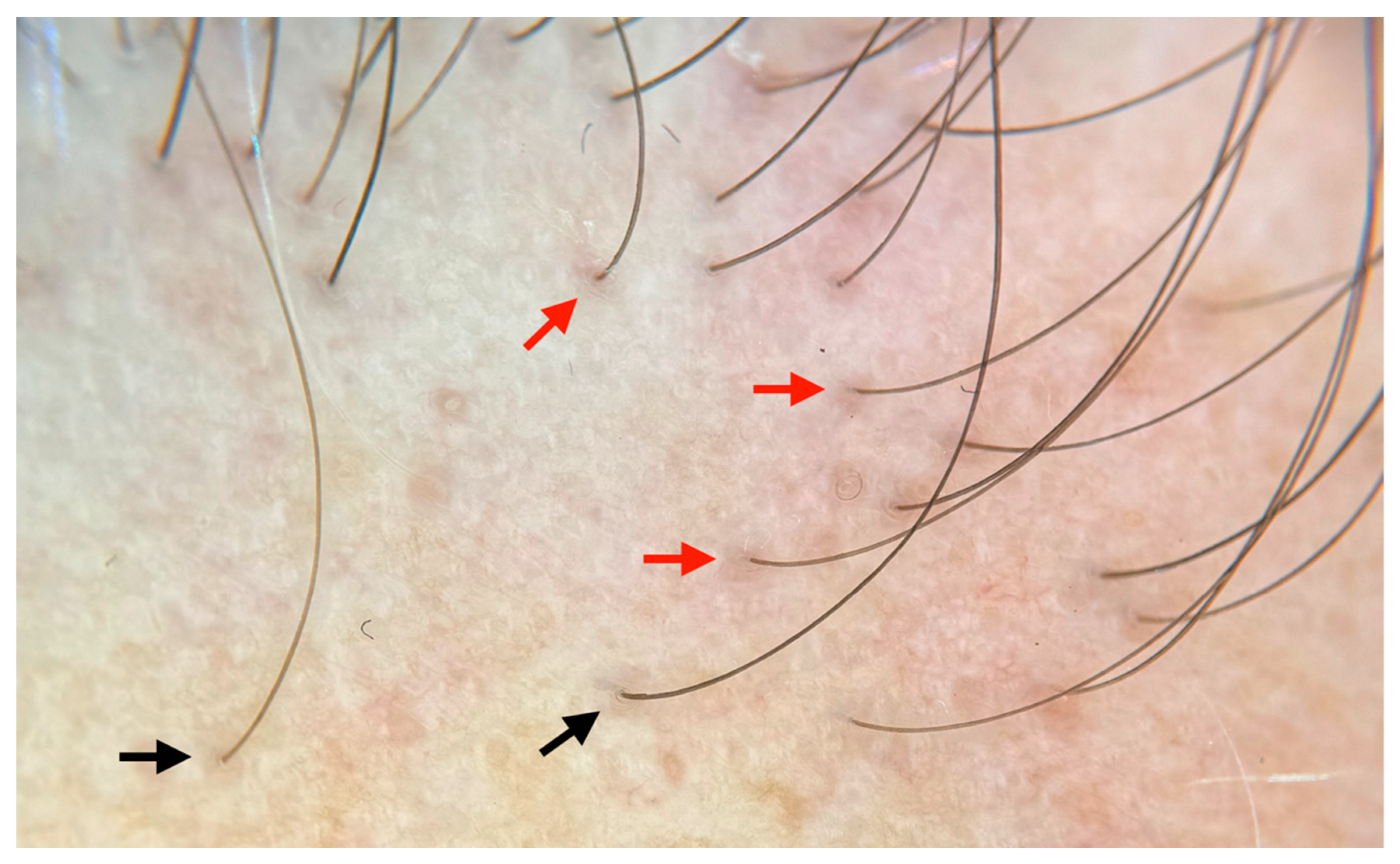 Cosmetics 12 00168 g002