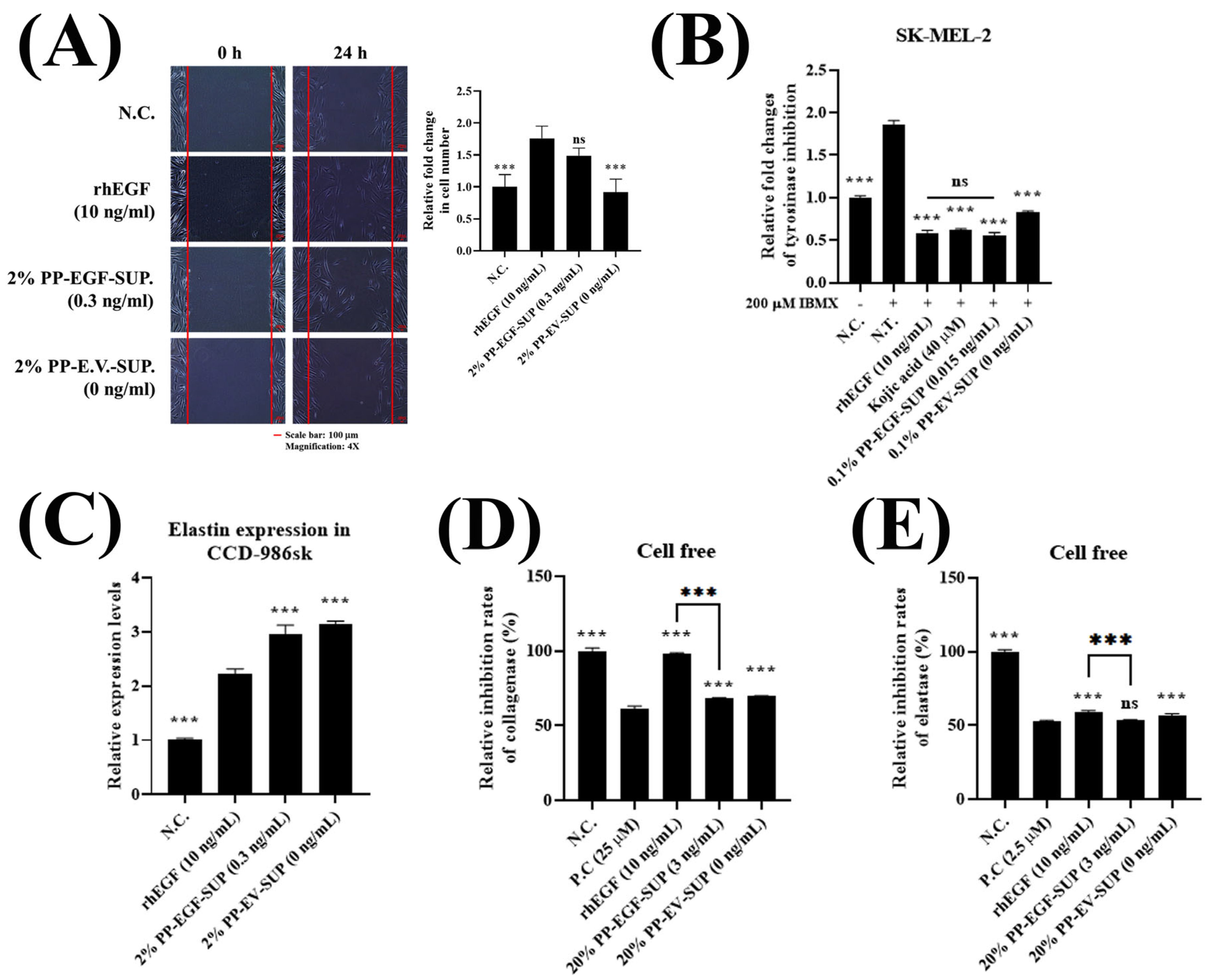 Cosmetics 12 00176 g003