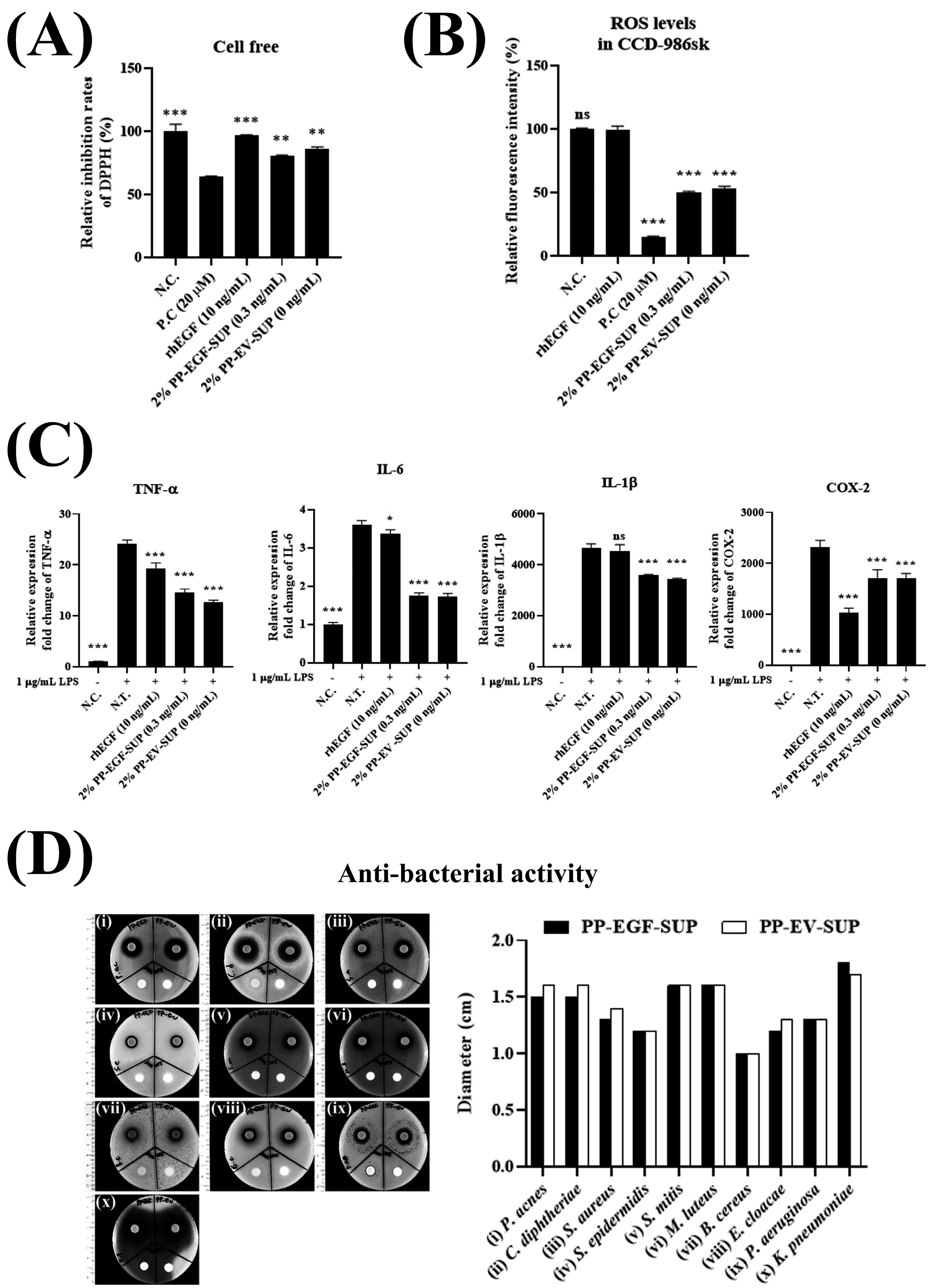 Cosmetics 12 00176 g004