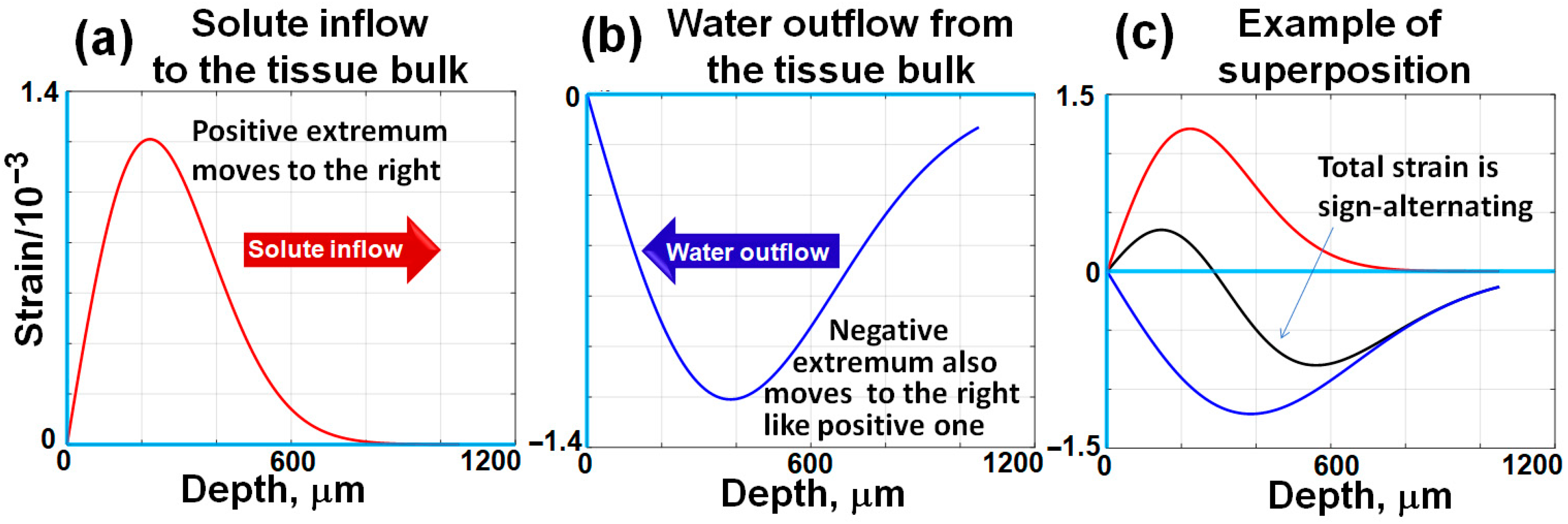 Cosmetics 12 00183 g002