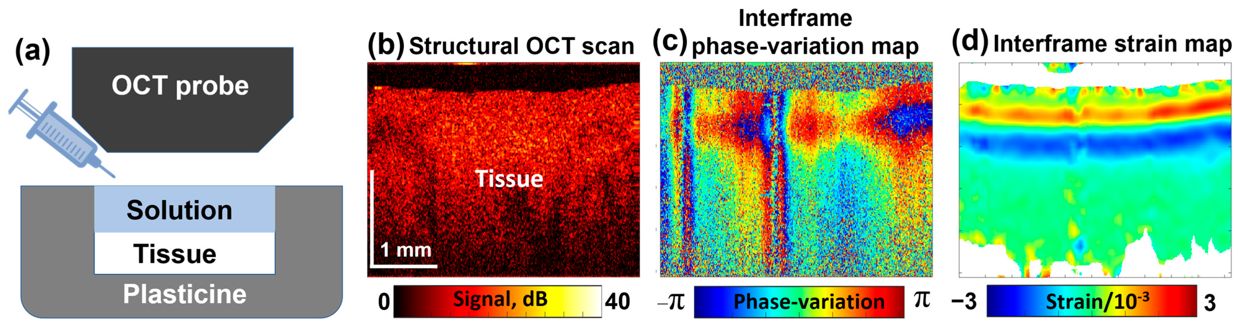 Cosmetics 12 00183 g003