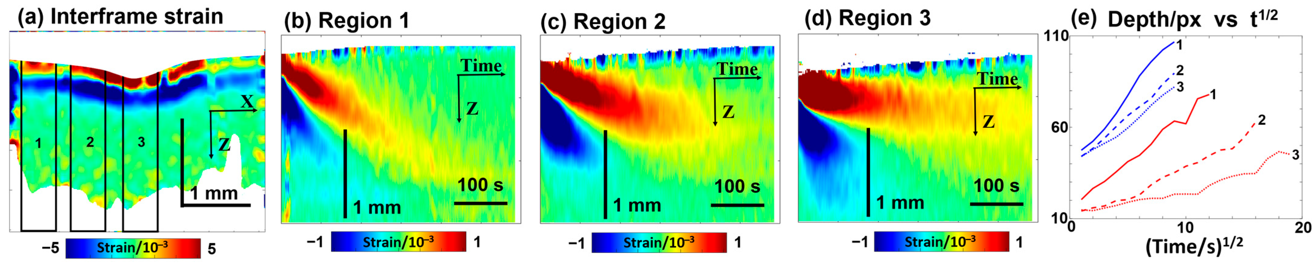 Cosmetics 12 00183 g006