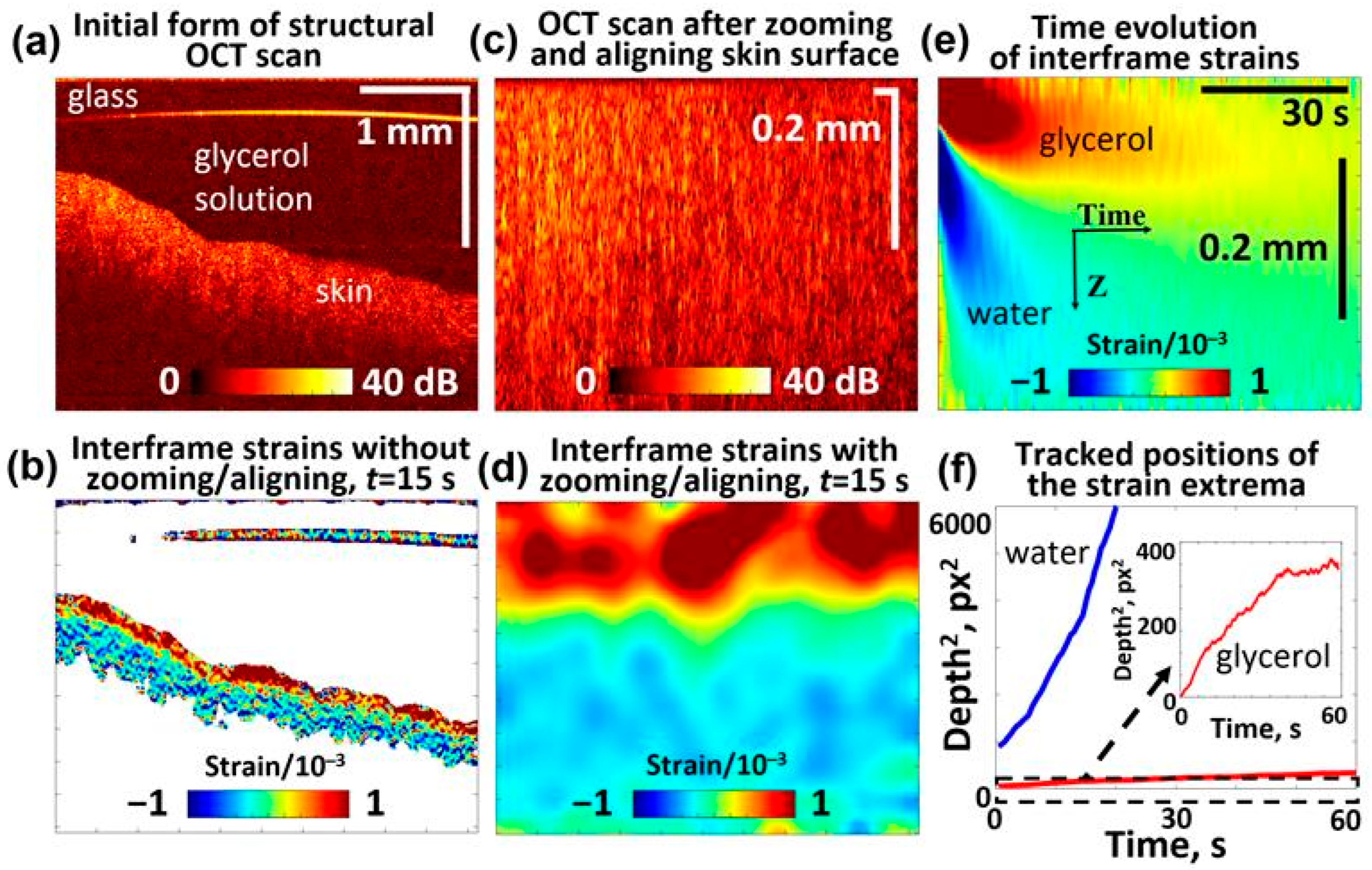 Cosmetics 12 00183 g007
