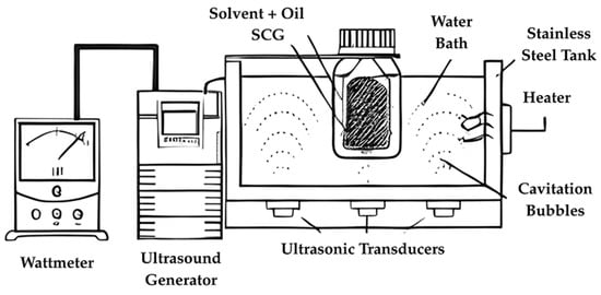 Cosmetics 12 00206 g004