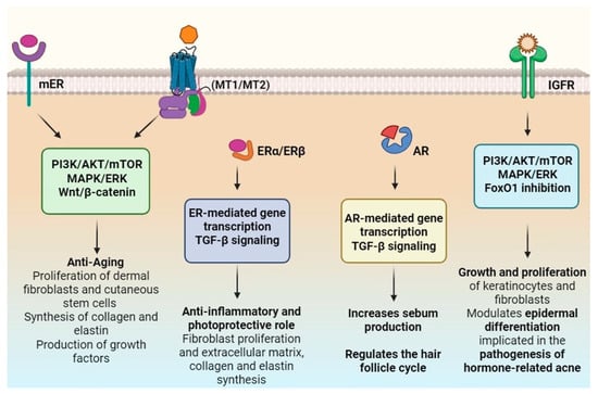 Cosmetics 12 00209 g001
