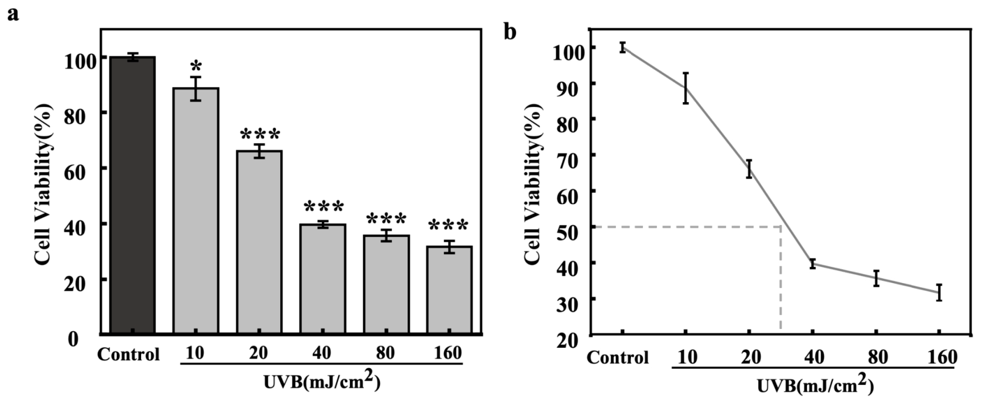 Cosmetics 12 00210 g005