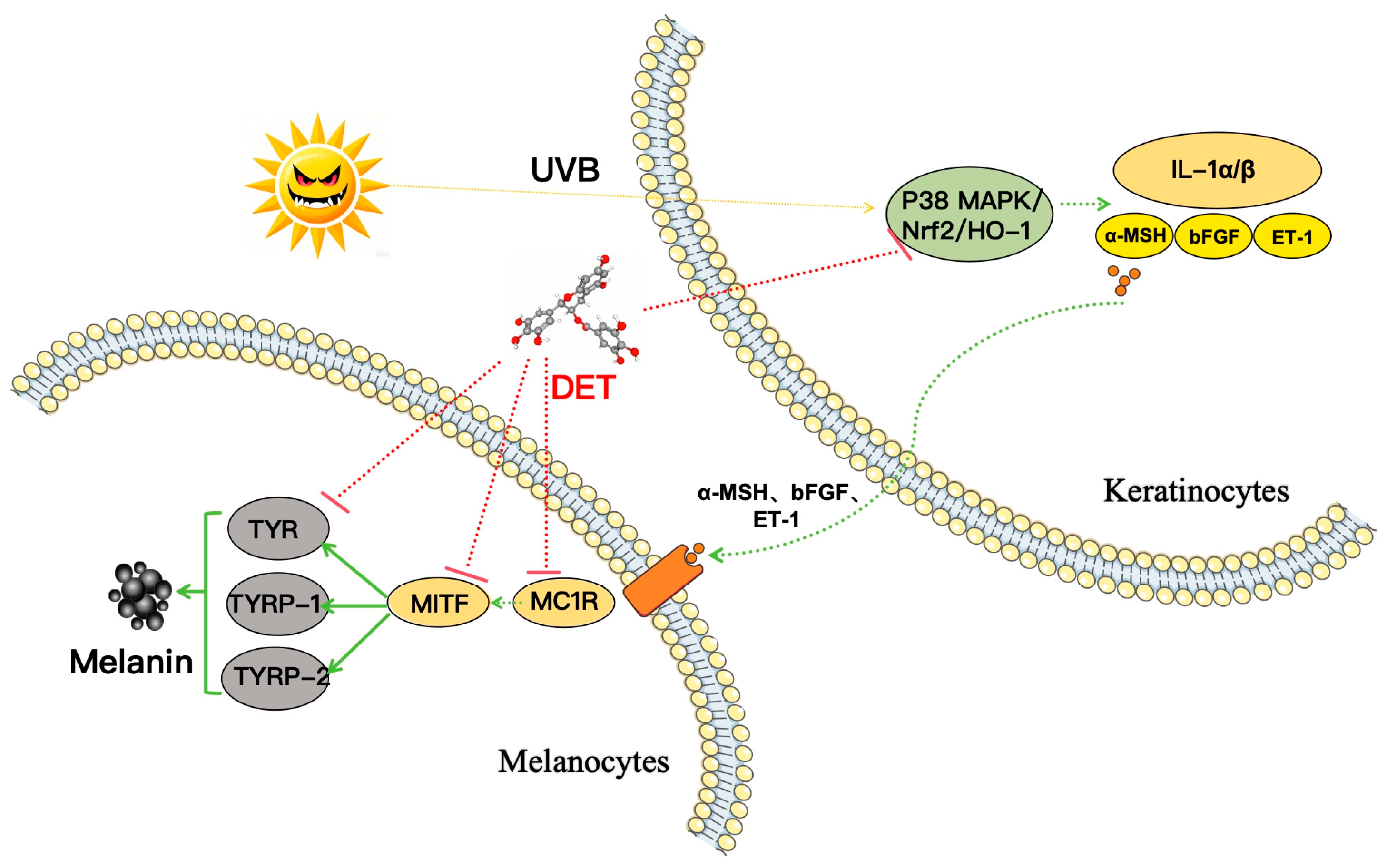 Cosmetics 12 00210 g011