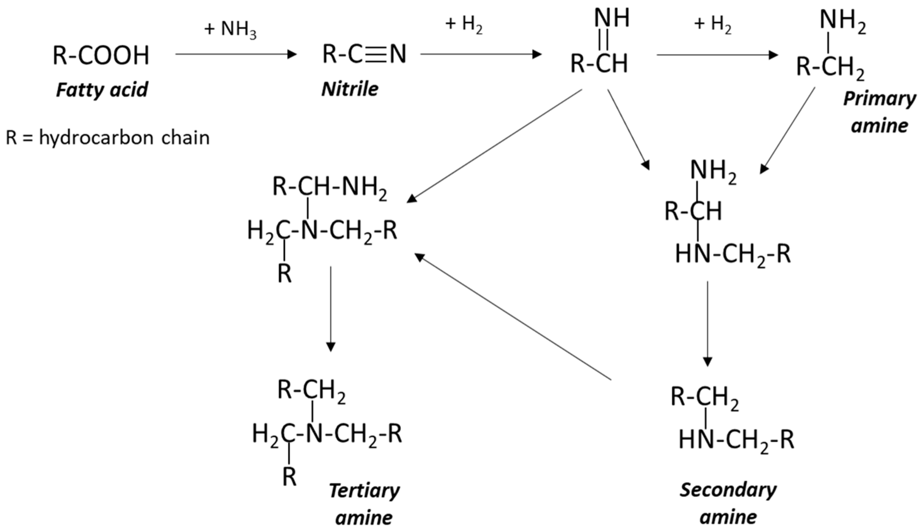 Cosmetics 12 00227 g003