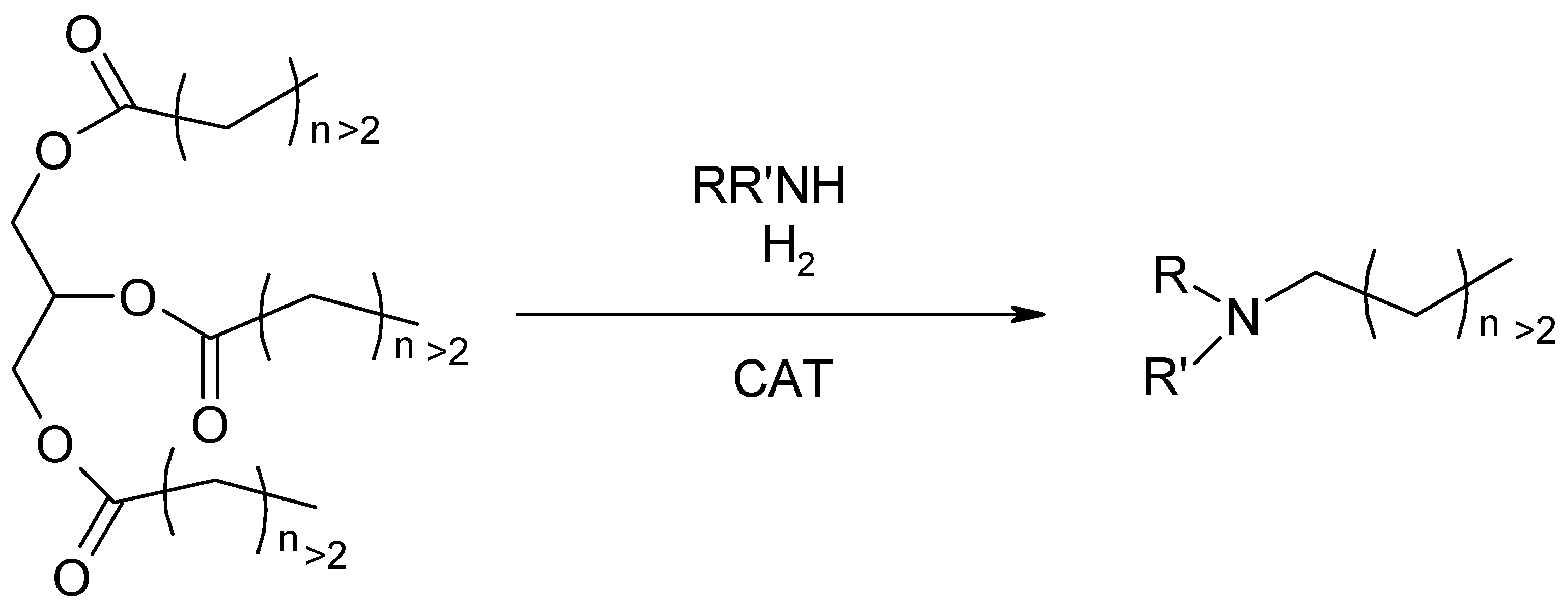 Cosmetics 12 00227 g004