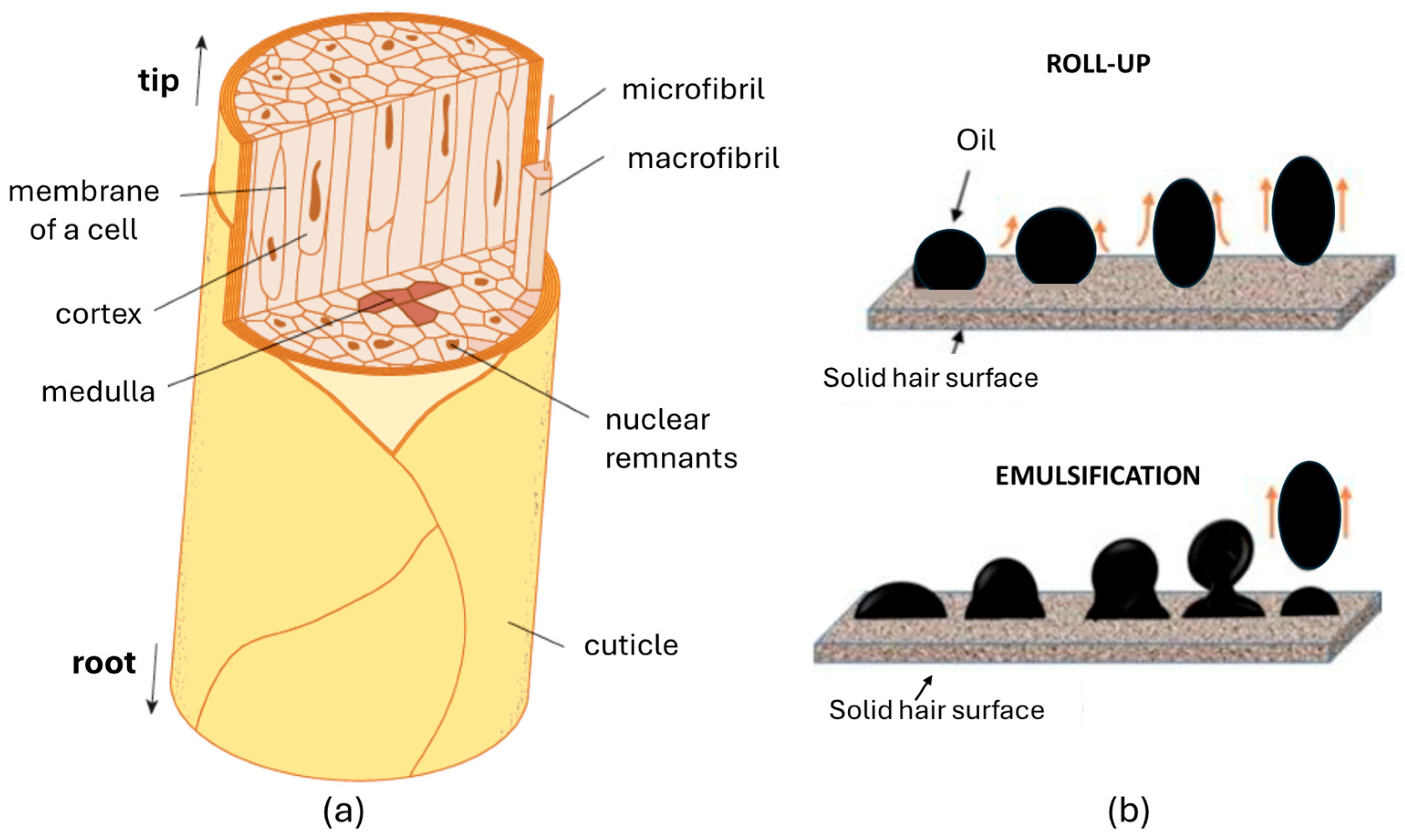 Cosmetics 12 00227 g006