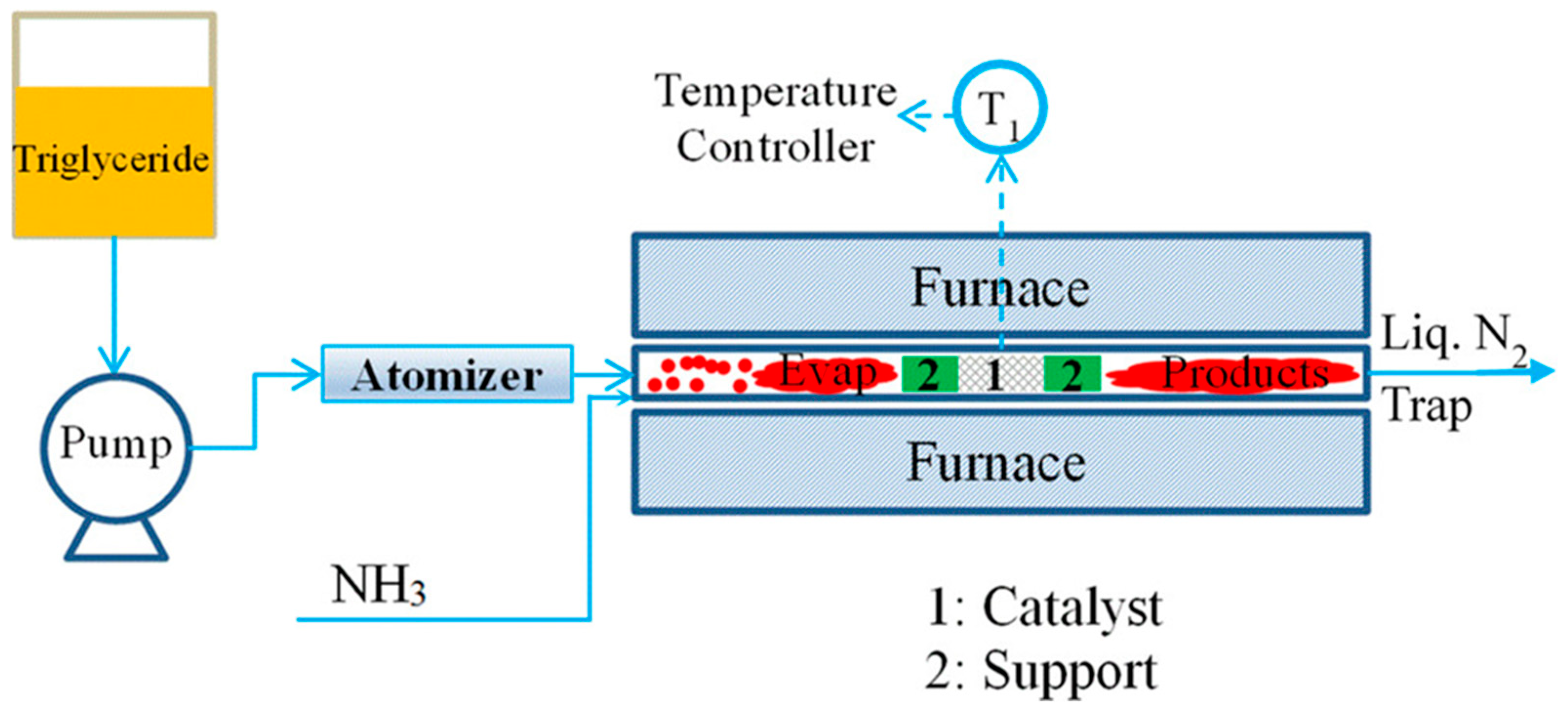 Cosmetics 12 00227 g014