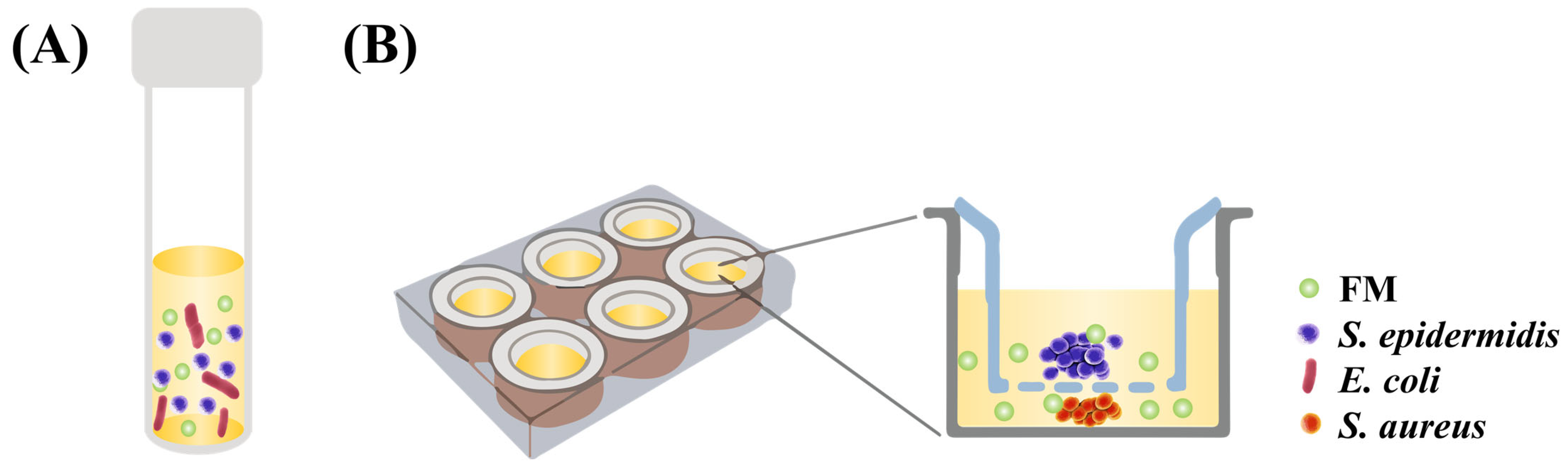 Cosmetics 12 00232 g001