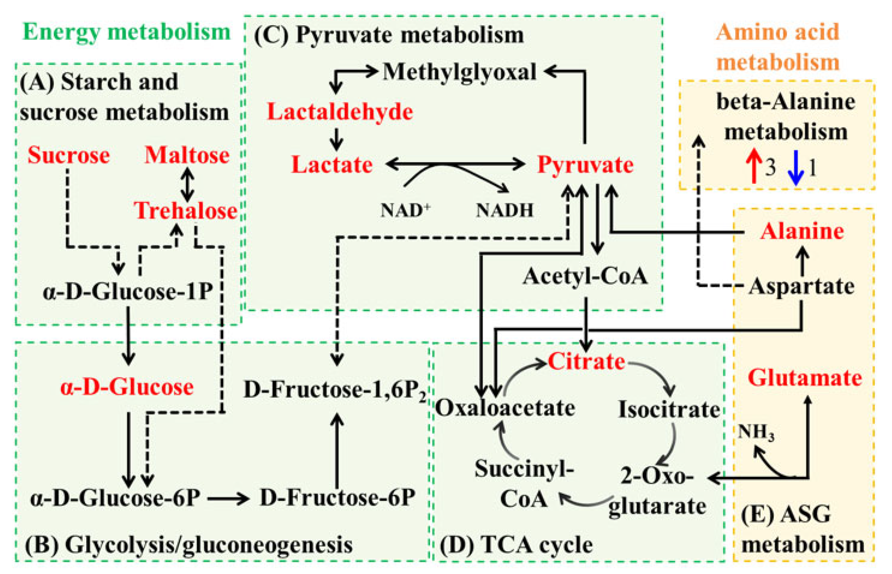 Cosmetics 12 00232 g010