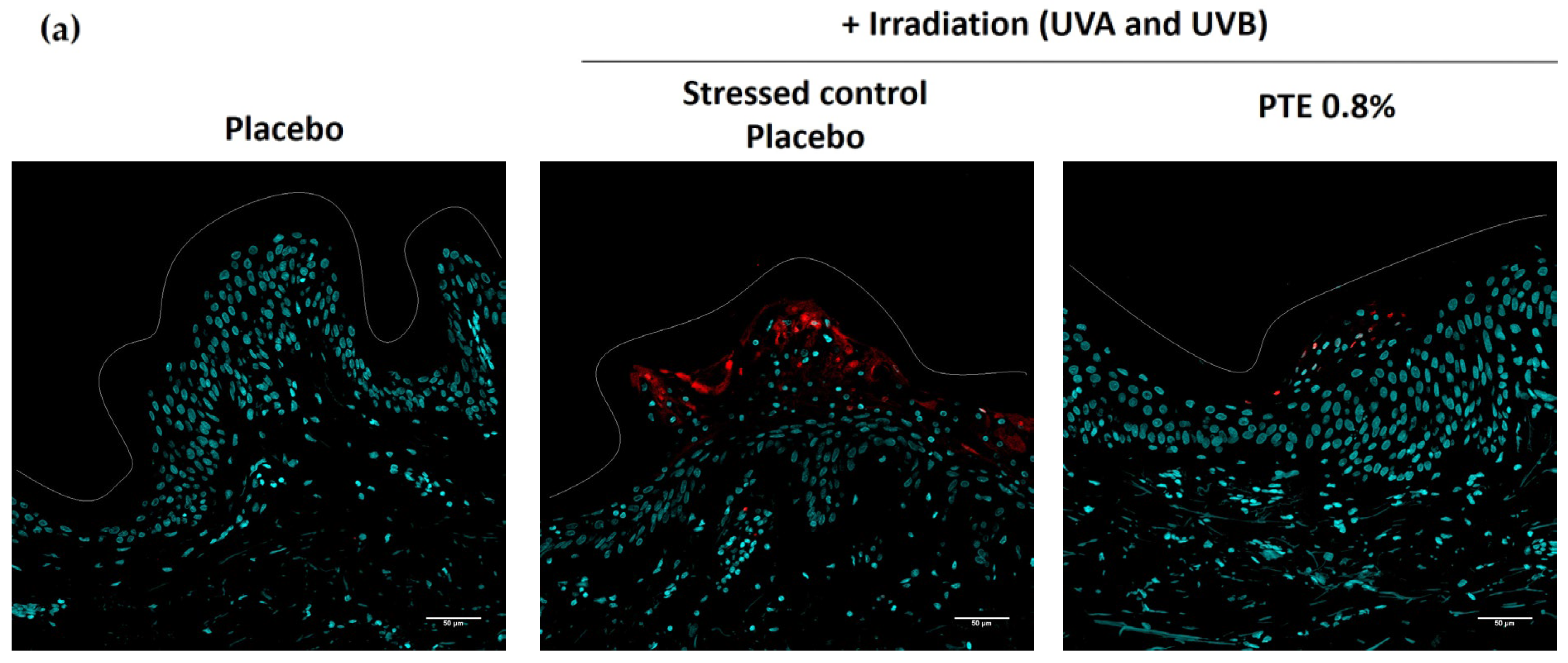 Cosmetics 12 00237 g002a