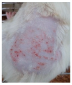 Cosmetics 12 00238 i011 Cosmetics 12 00238 i011