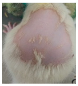 Cosmetics 12 00238 i013 Cosmetics 12 00238 i013