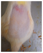 Cosmetics 12 00238 i020 Cosmetics 12 00238 i020