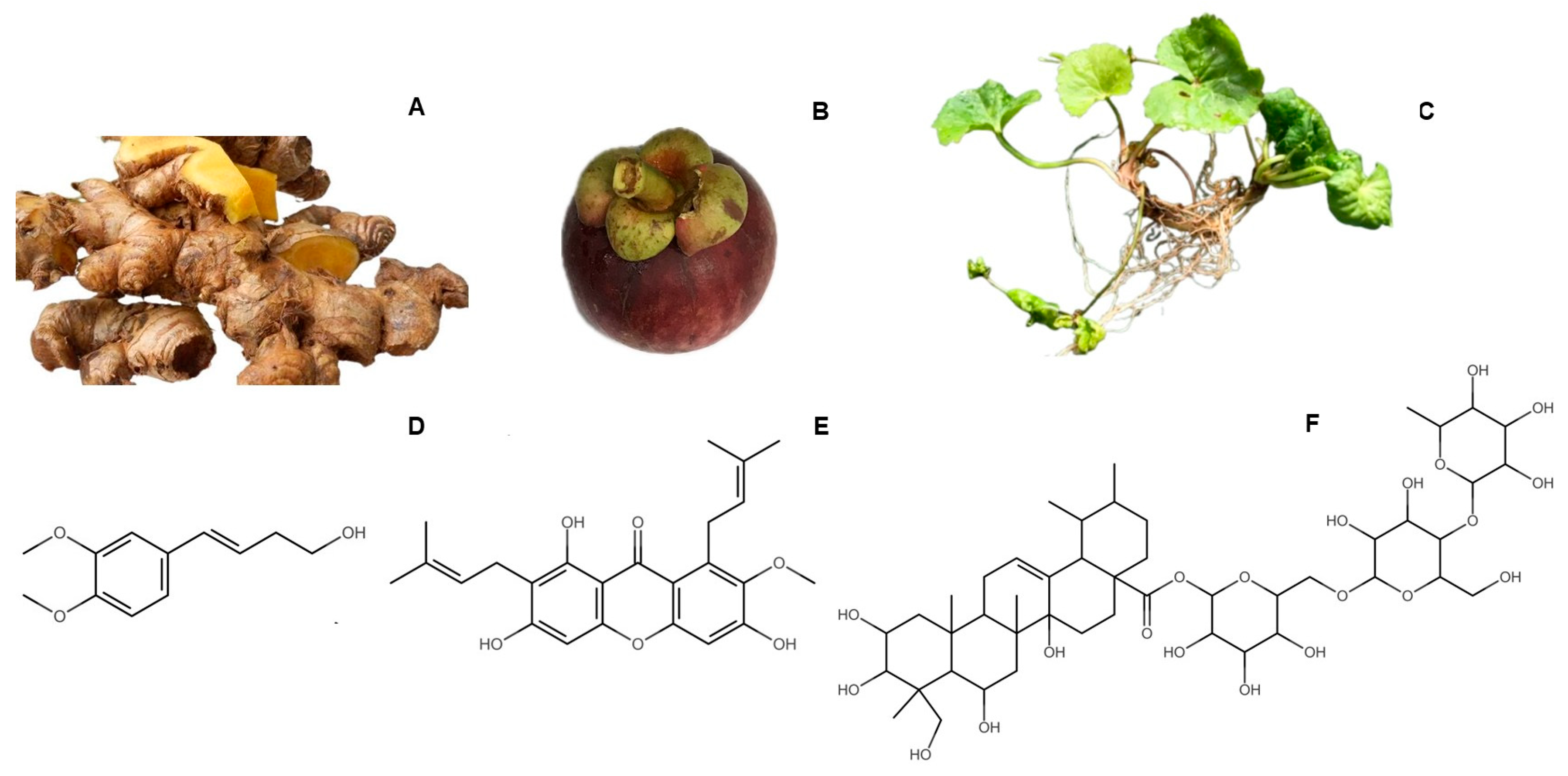 Cosmetics 12 00241 g001 Cosmetics 12 00241 g001