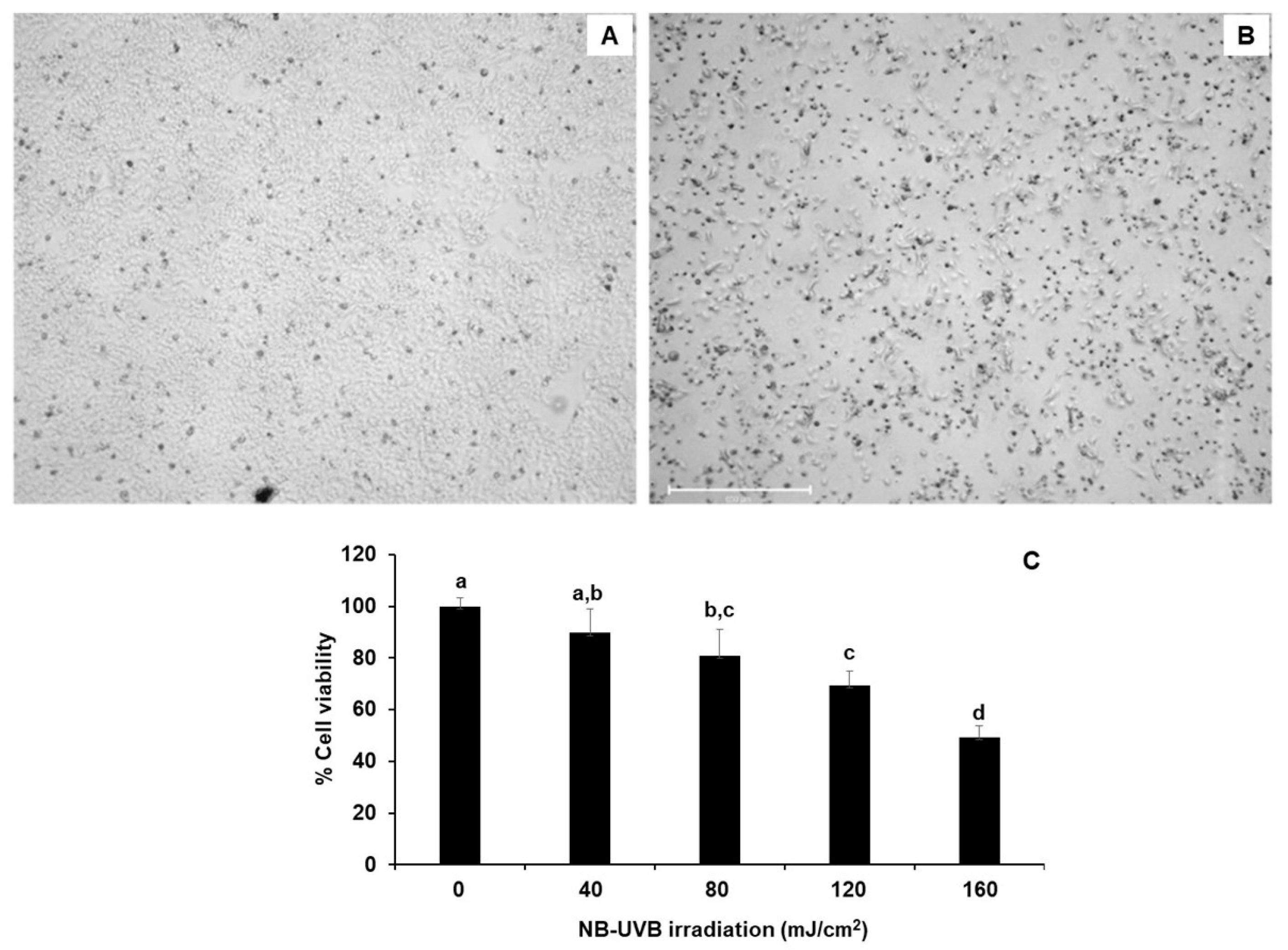 Cosmetics 12 00241 g003 Cosmetics 12 00241 g003