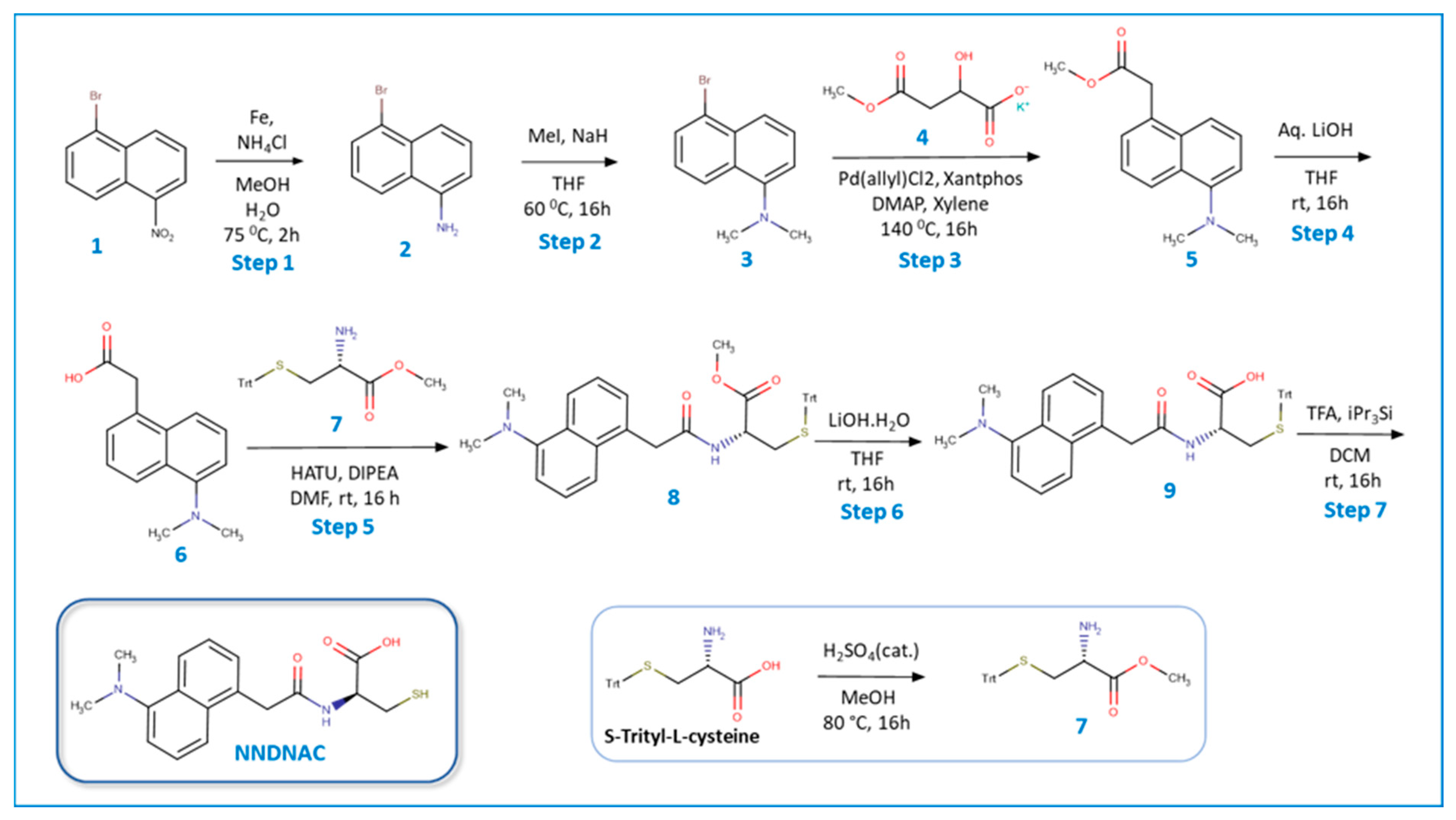 Cosmetics 12 00268 g001