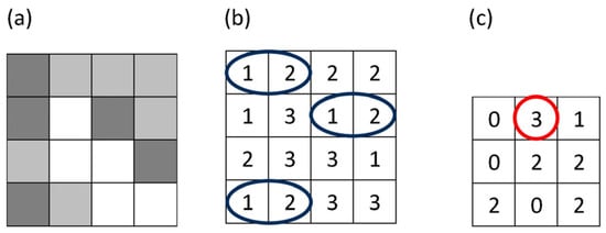 Cosmetics 12 00276 g001