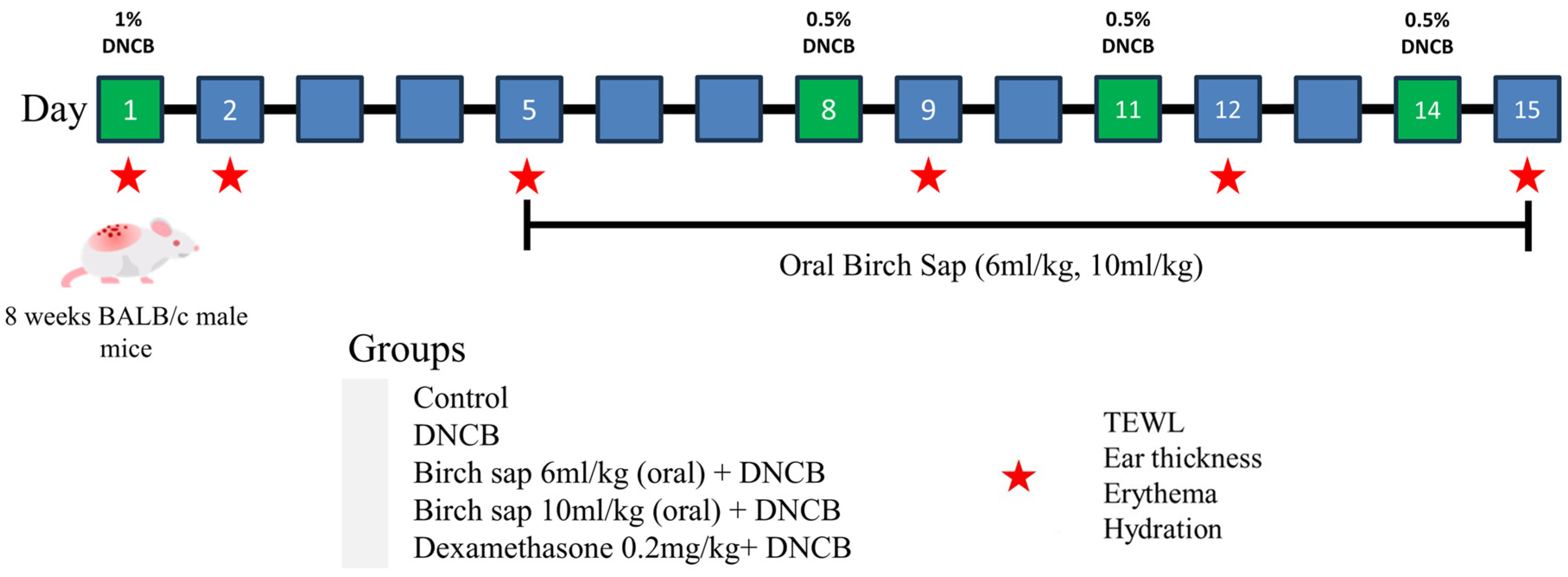 Cosmetics 12 00282 g001