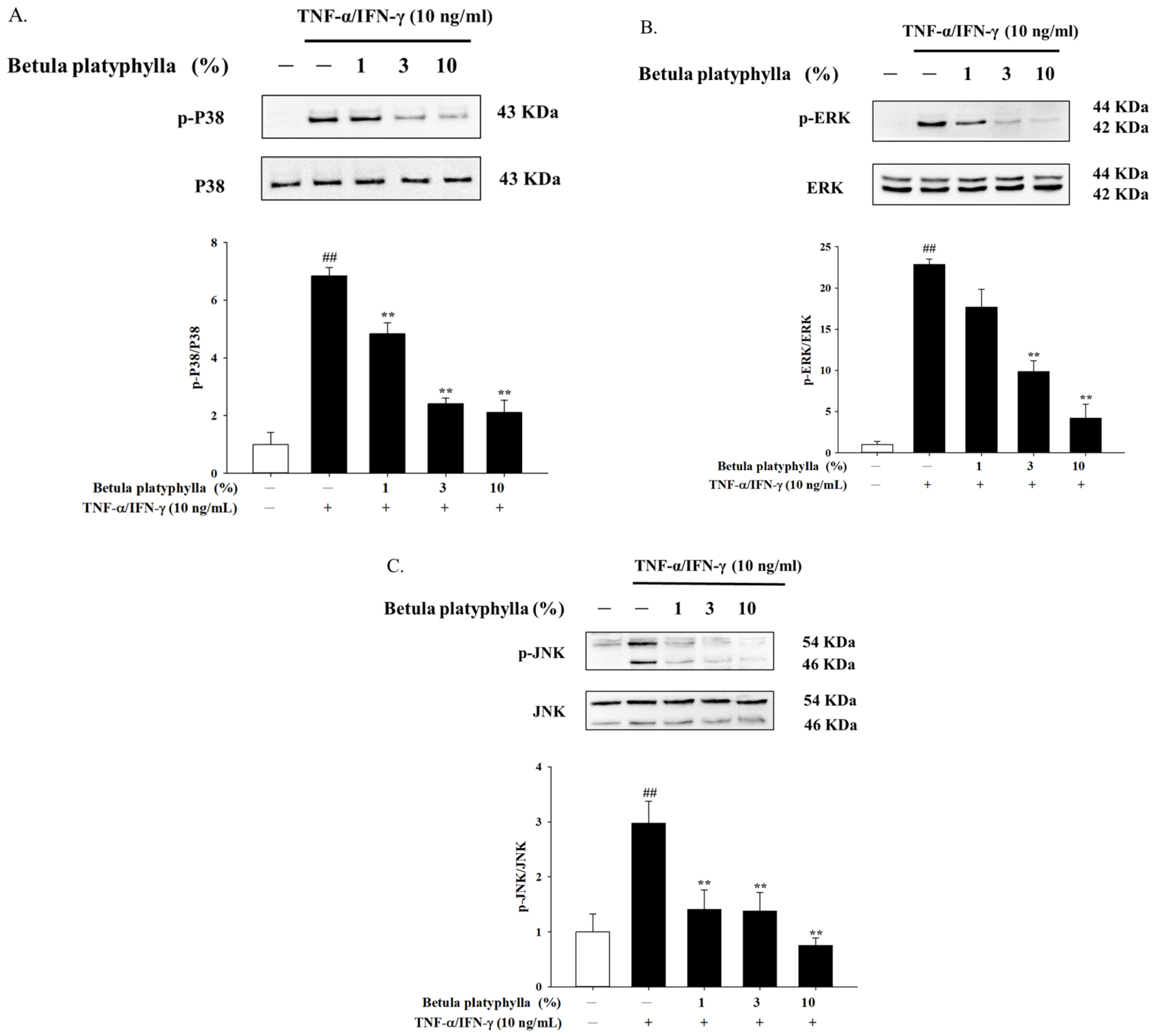 Cosmetics 12 00282 g004