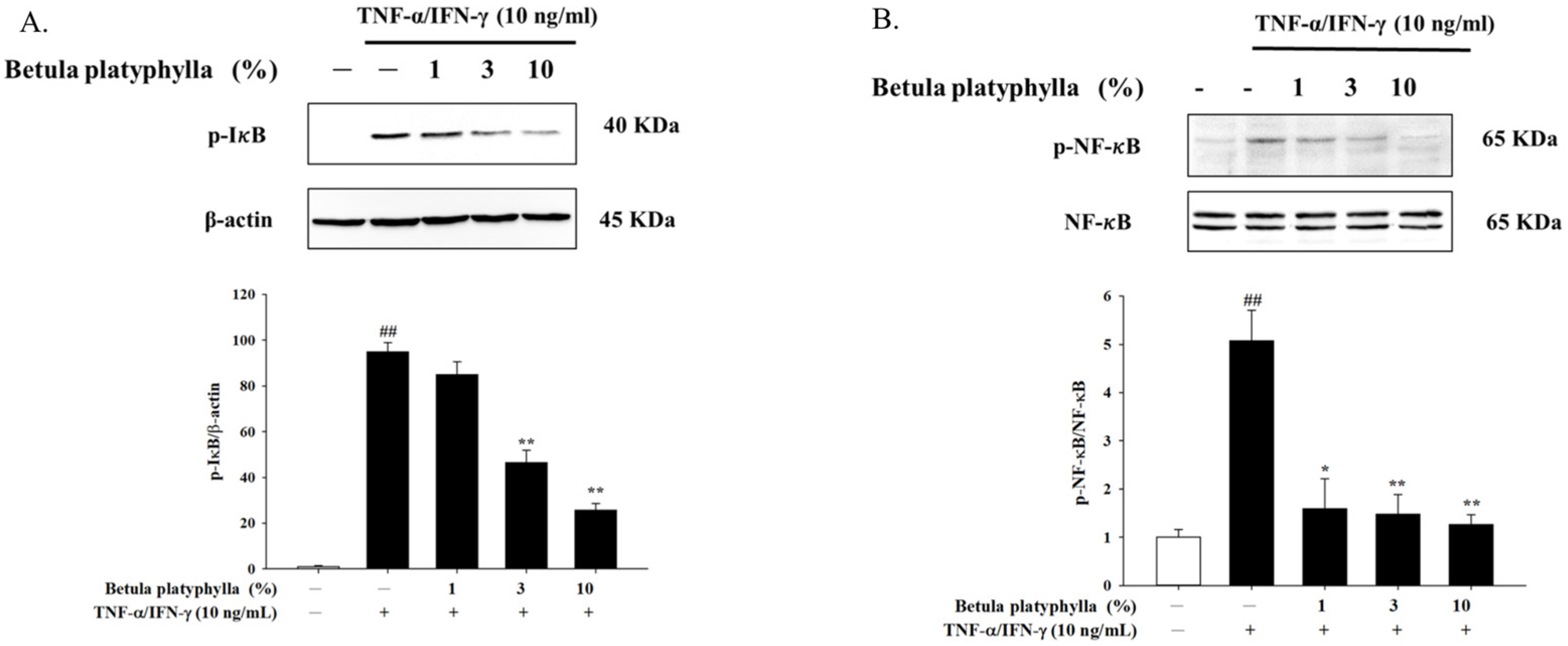 Cosmetics 12 00282 g005