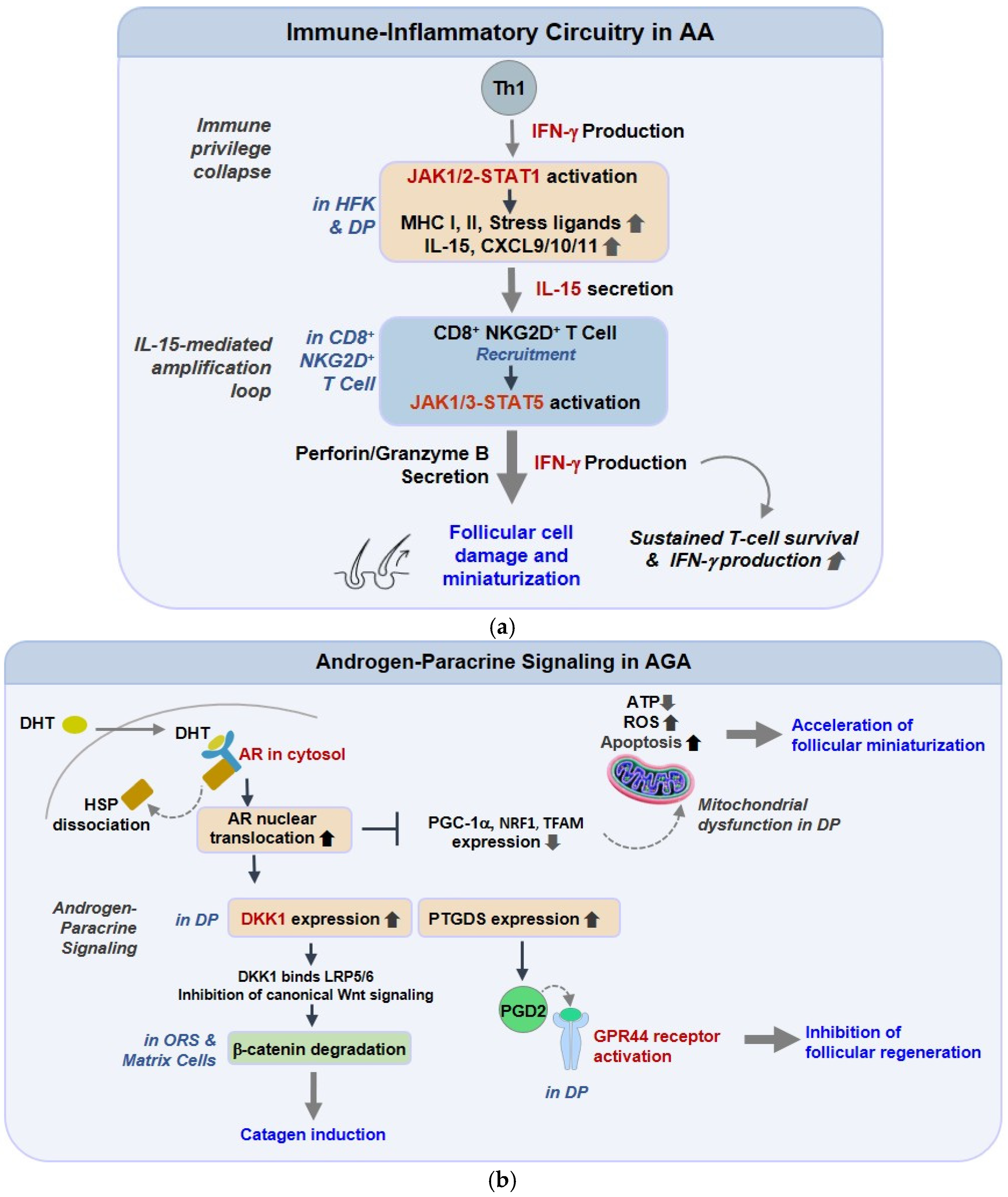 Cosmetics 12 00287 g001