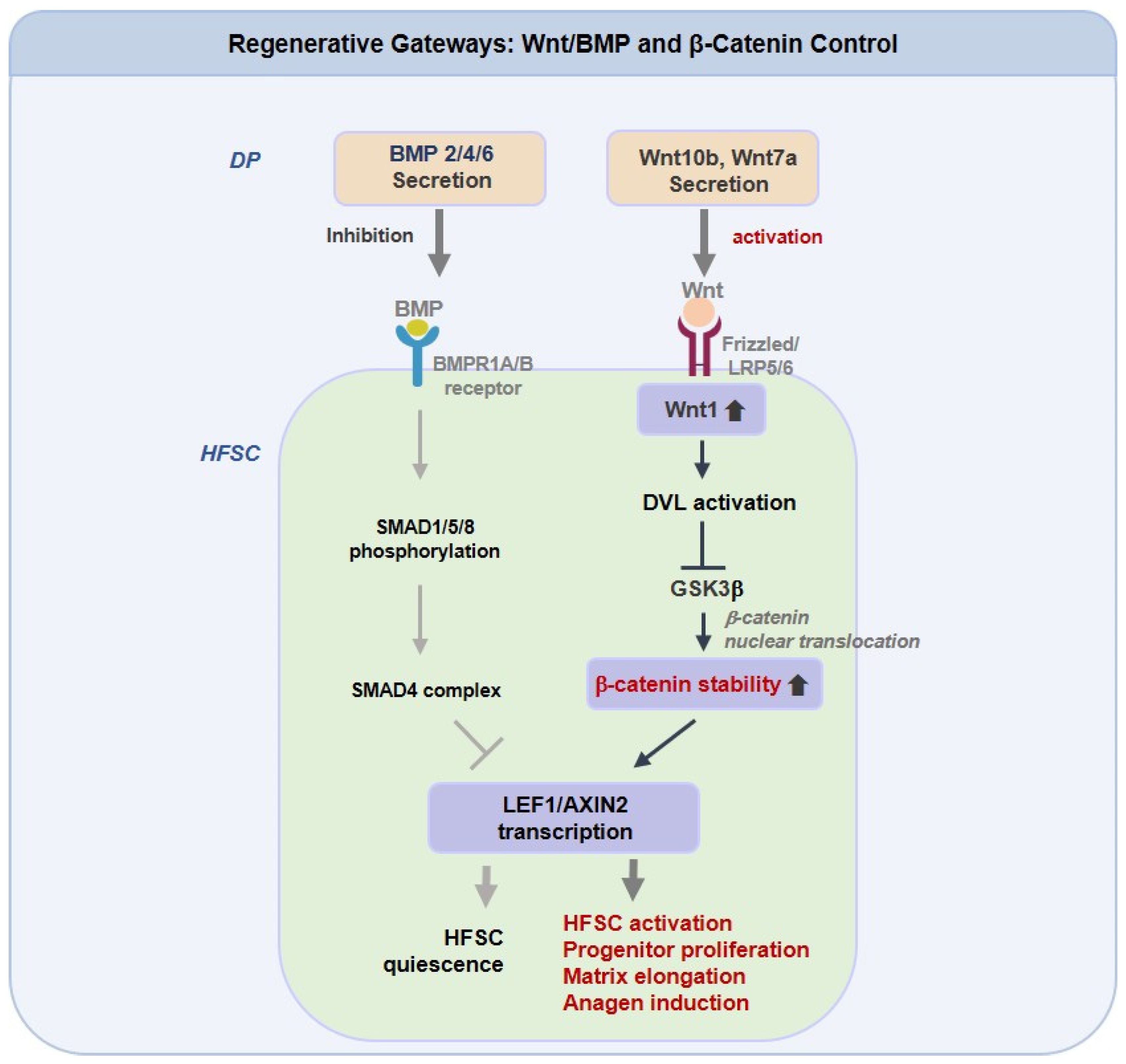 Cosmetics 12 00287 g002